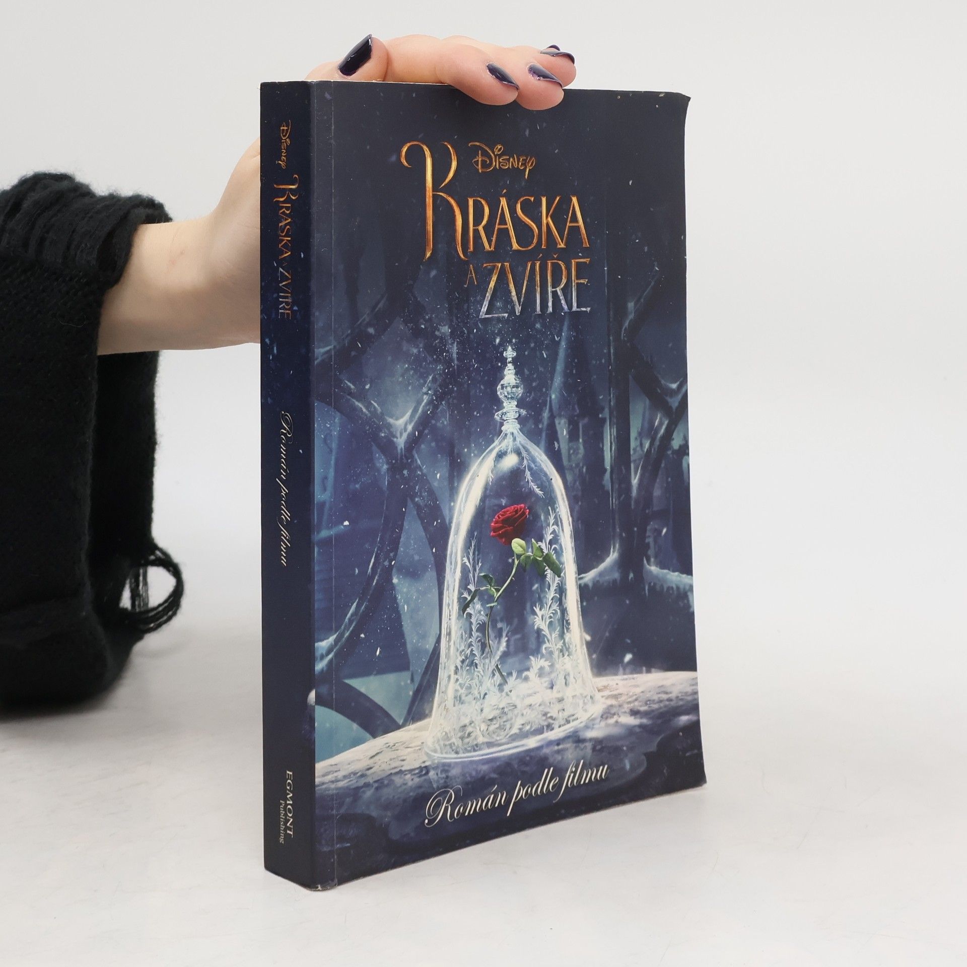 Elizabeth Rudnick Kráska a Zvíře