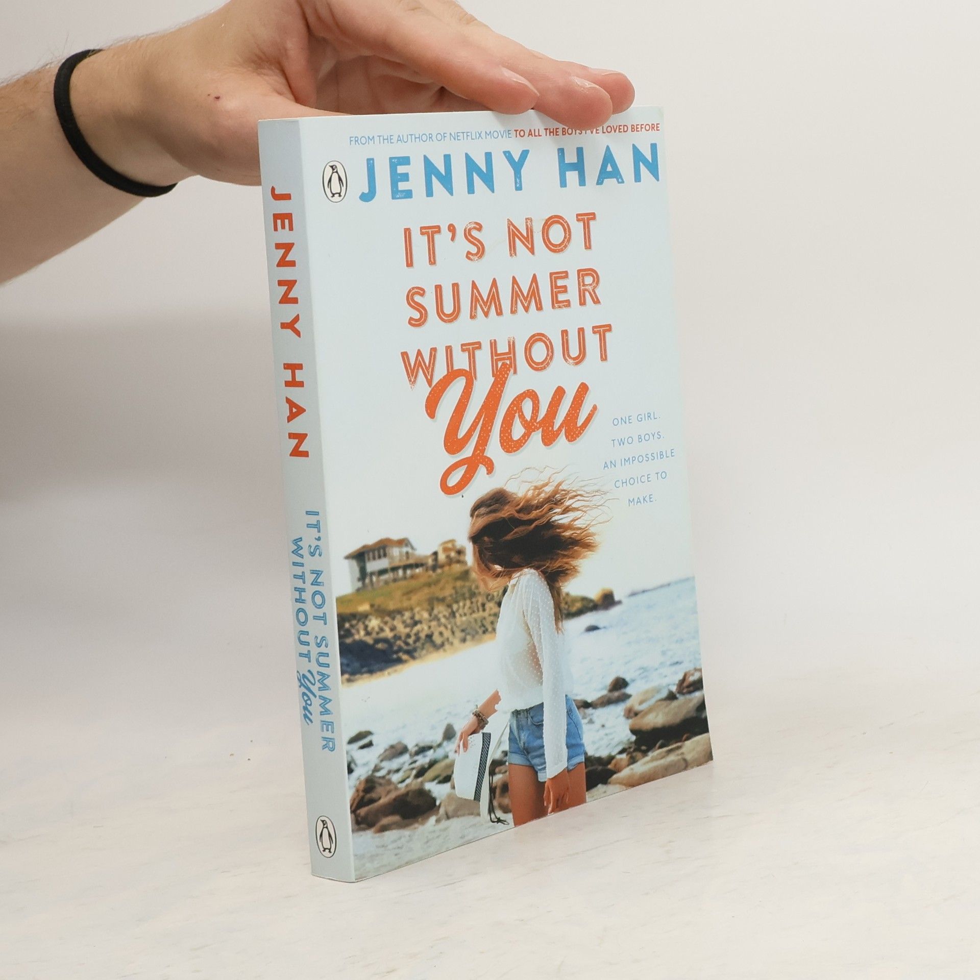 Jenny Han It's Not Summer Without You