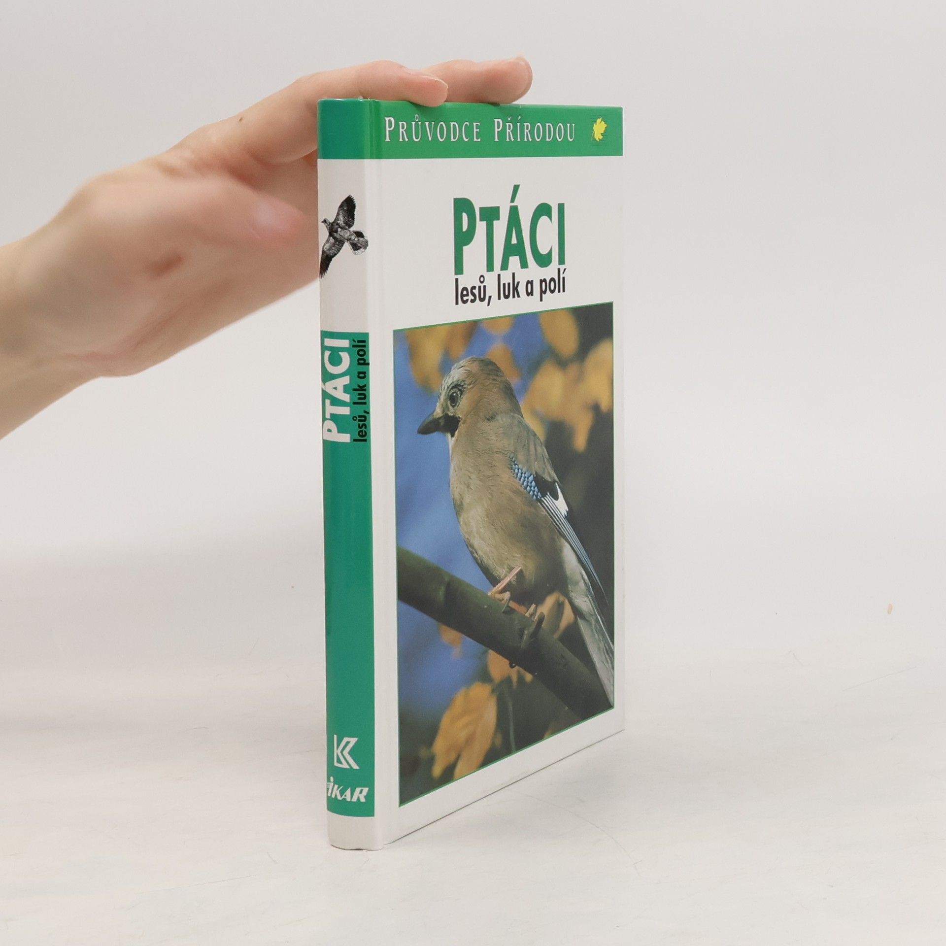 Frieder Sauer Ptáci lesů, luk a polí