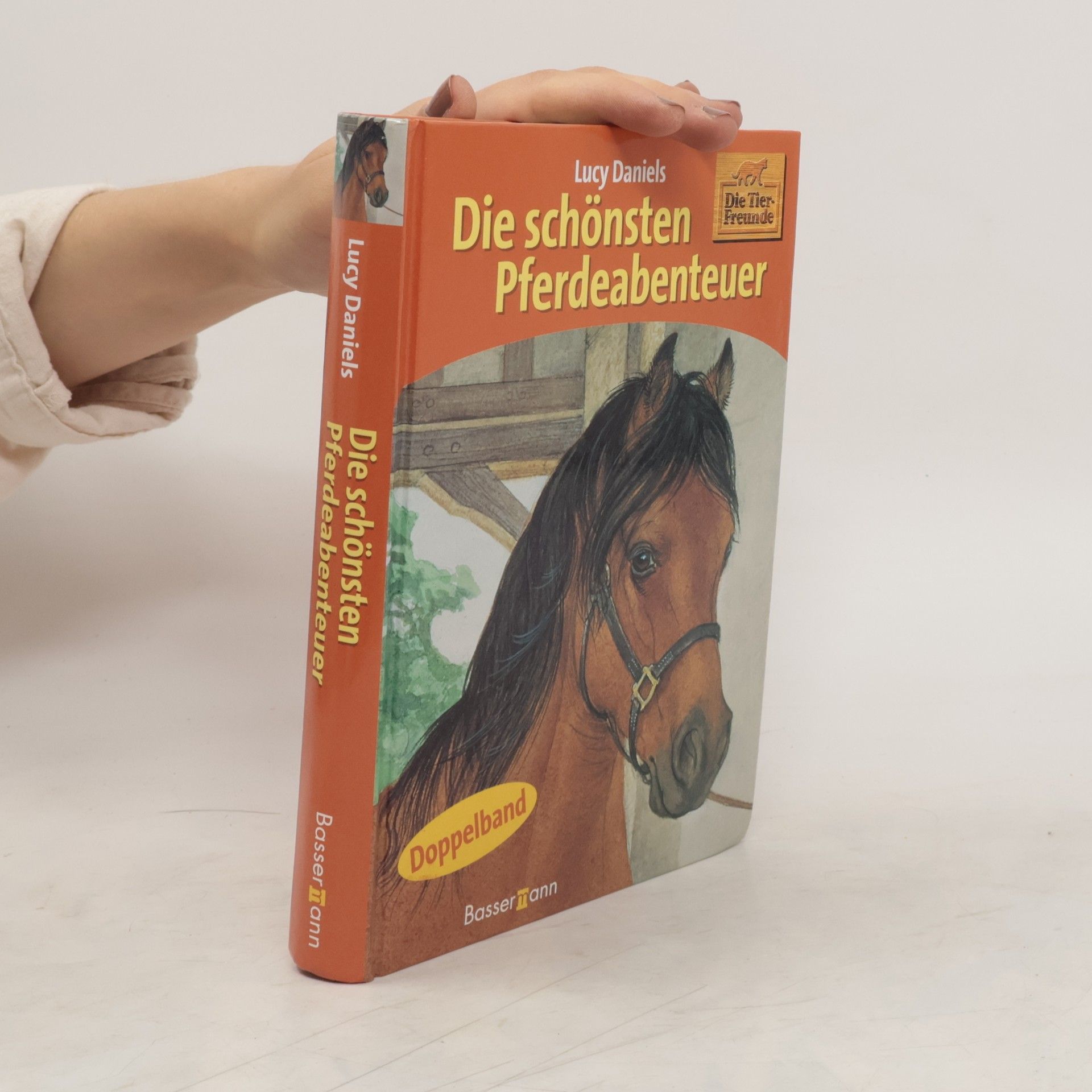 Lucy Daniels Die schönsten Pferdeabenteuer