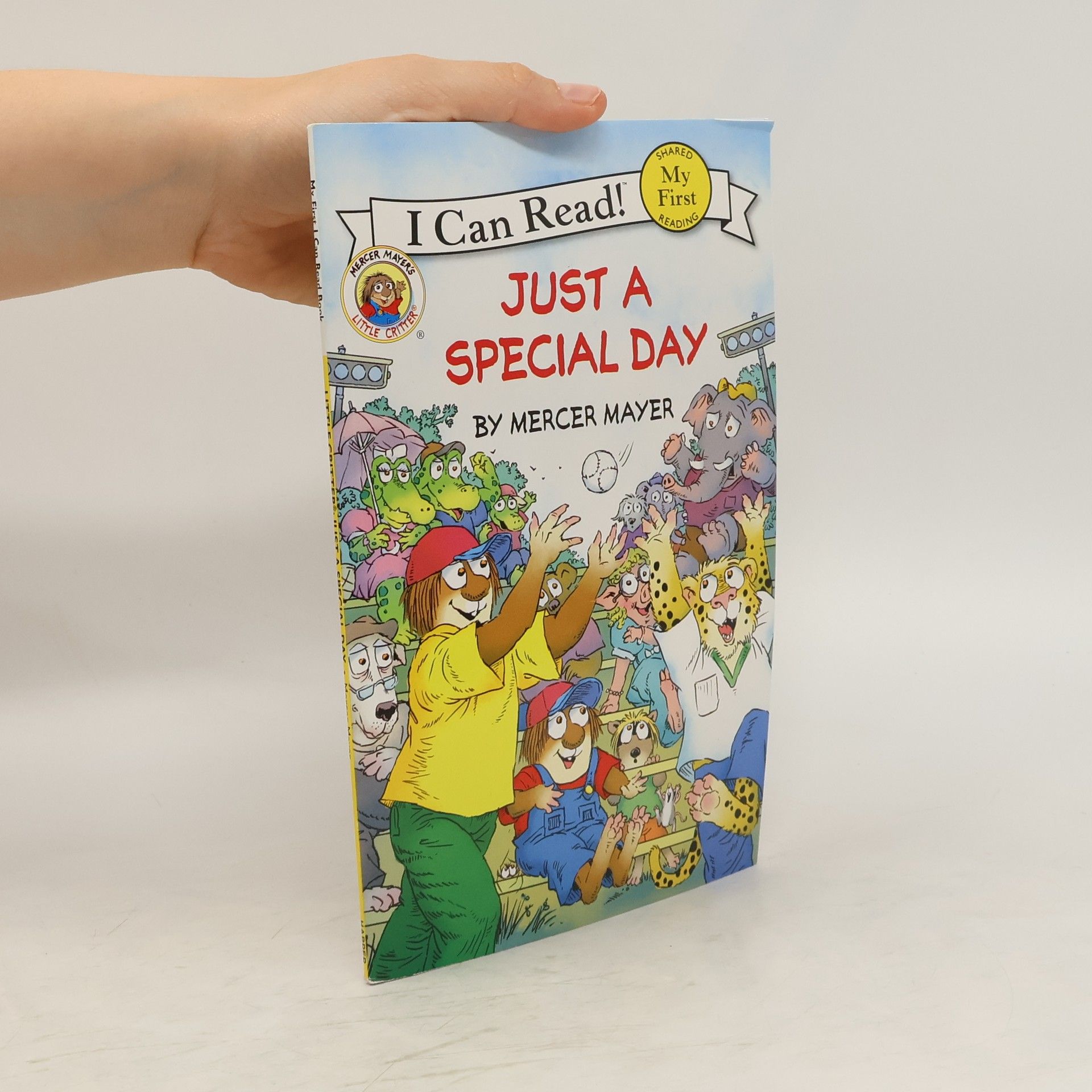 Mercer Mayer Just a Special Day