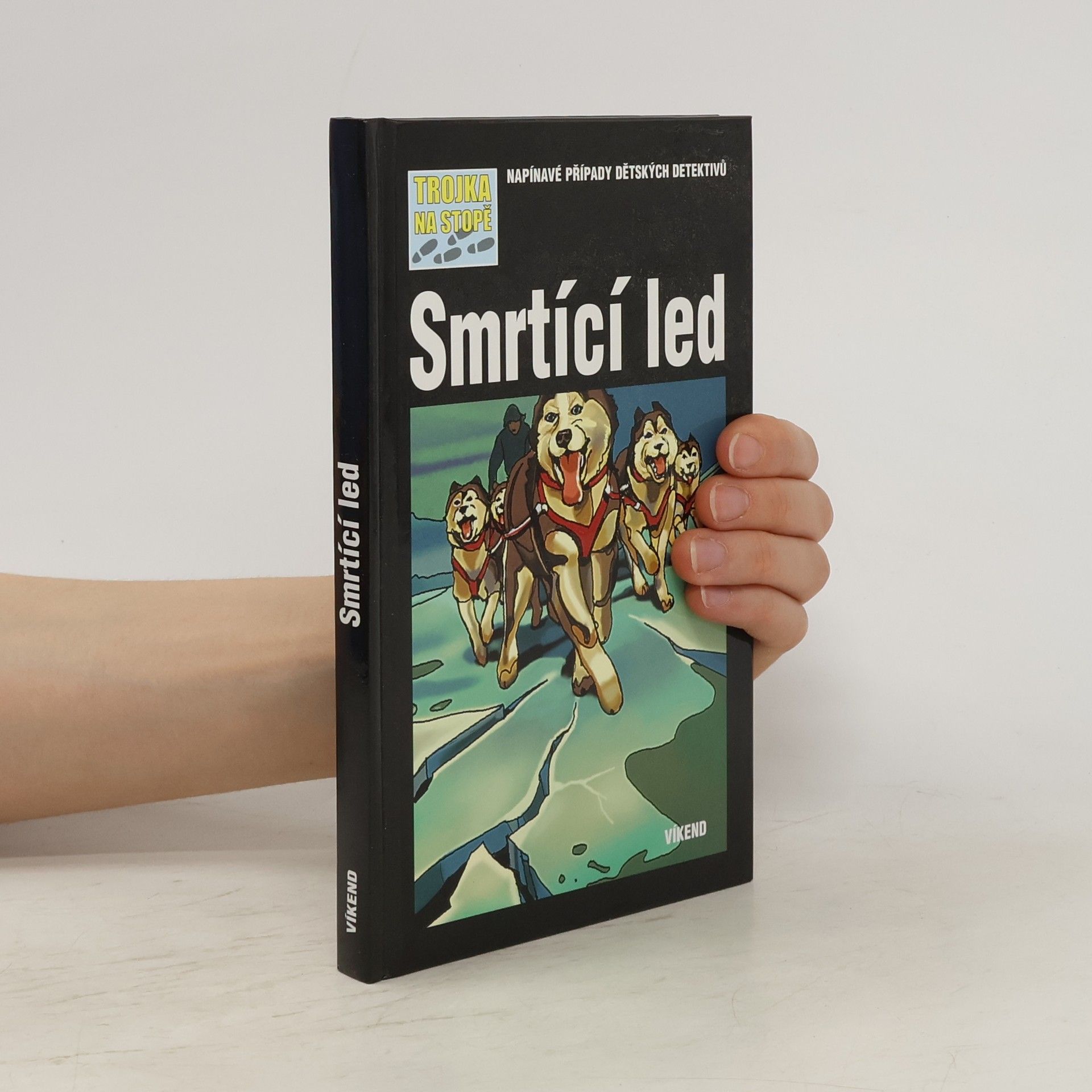 Kari Erlhoff Smrtící led