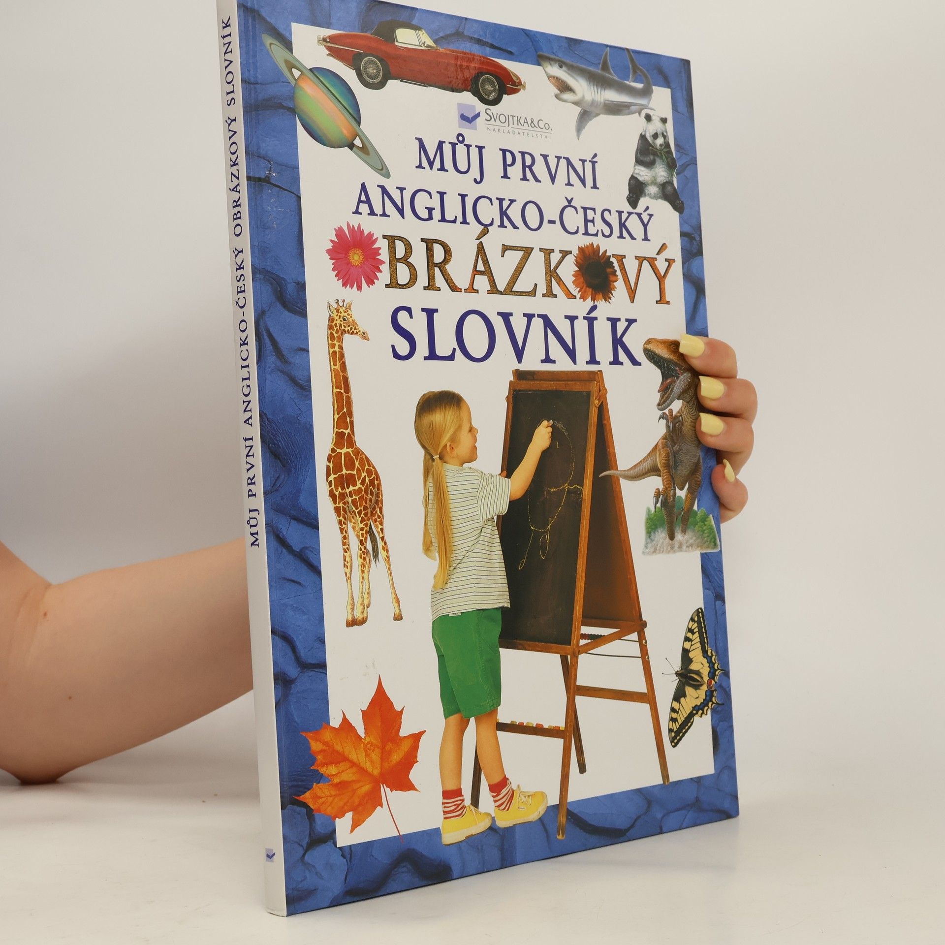 Collective Můj první anglicko-český obrázkový slovník