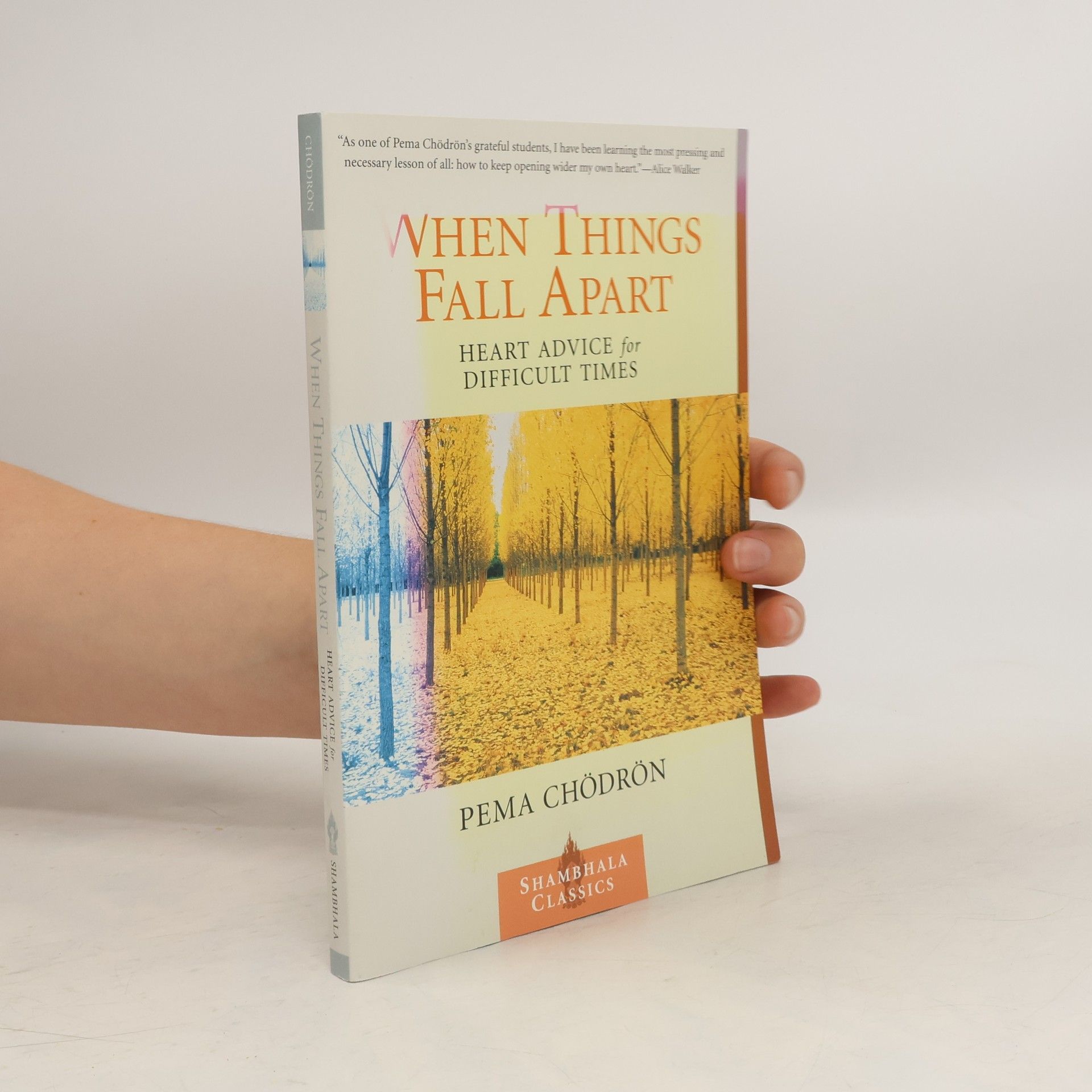 Pema Chödrön When Things Fall Apart