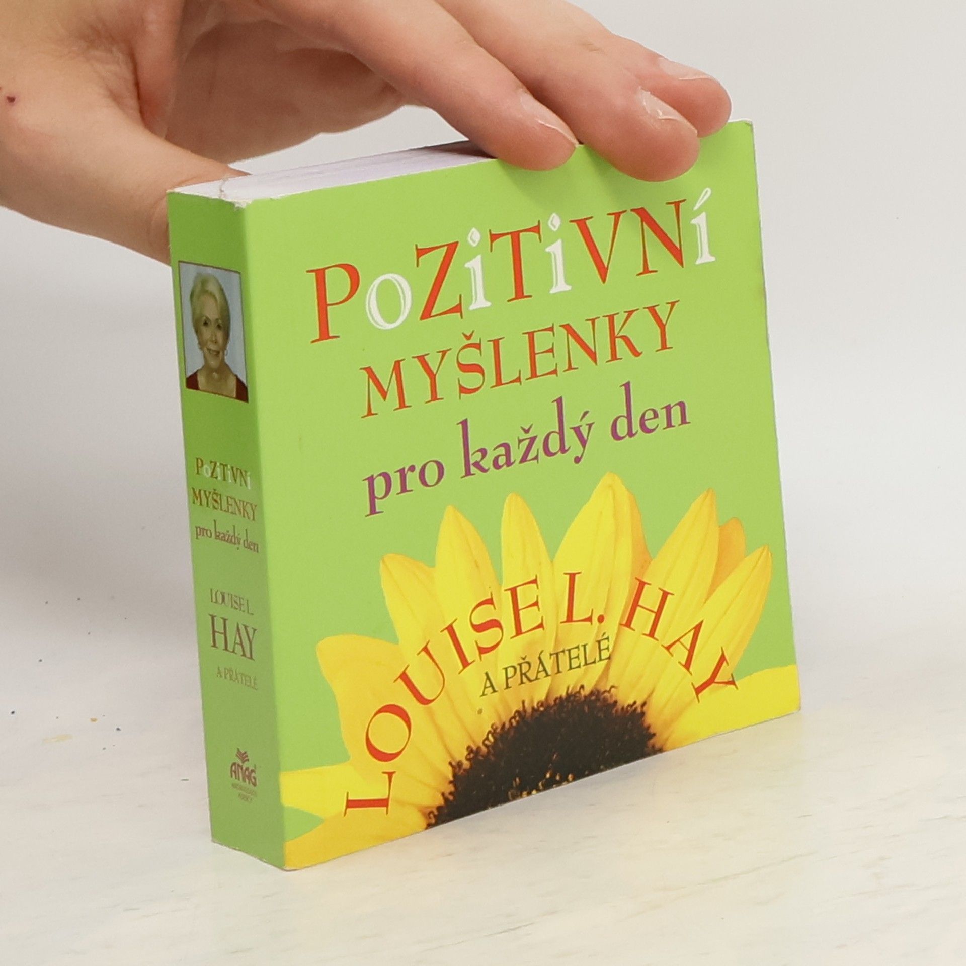 Louise Lynn Hay Pozitivní myšlenky pro každý den