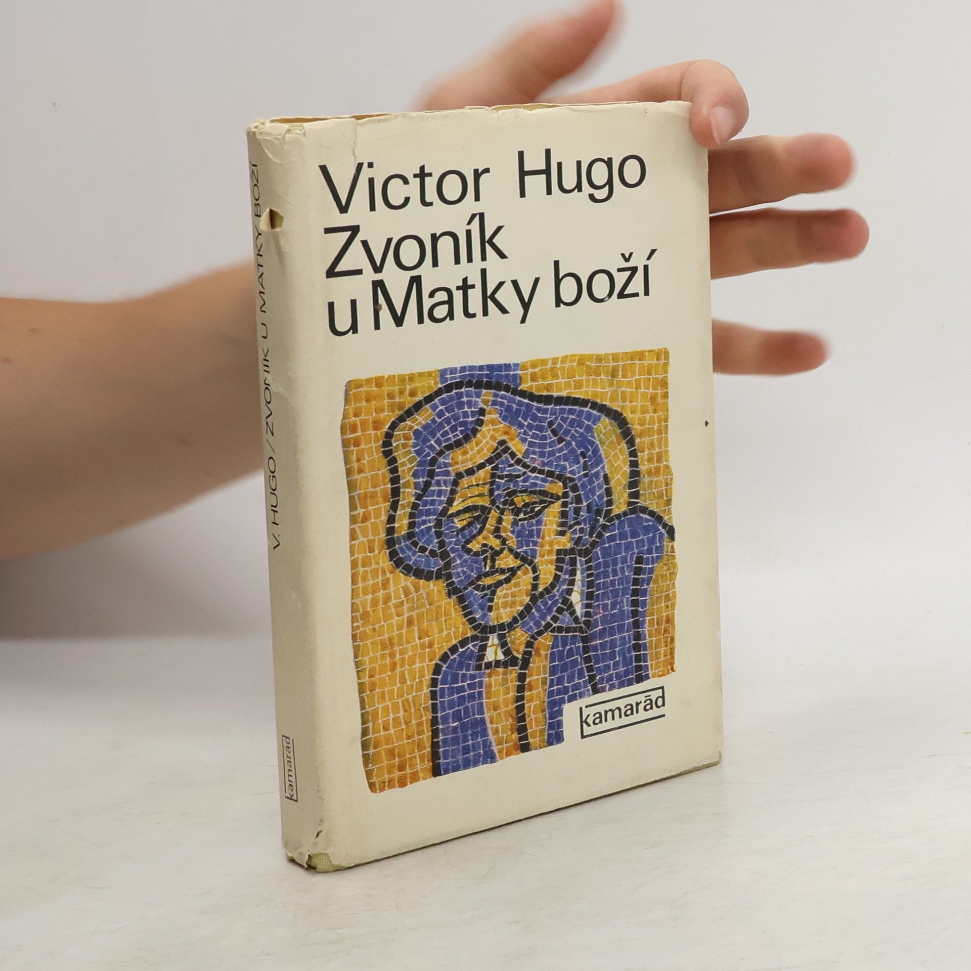Victor Hugo Zvoník u Matky boží