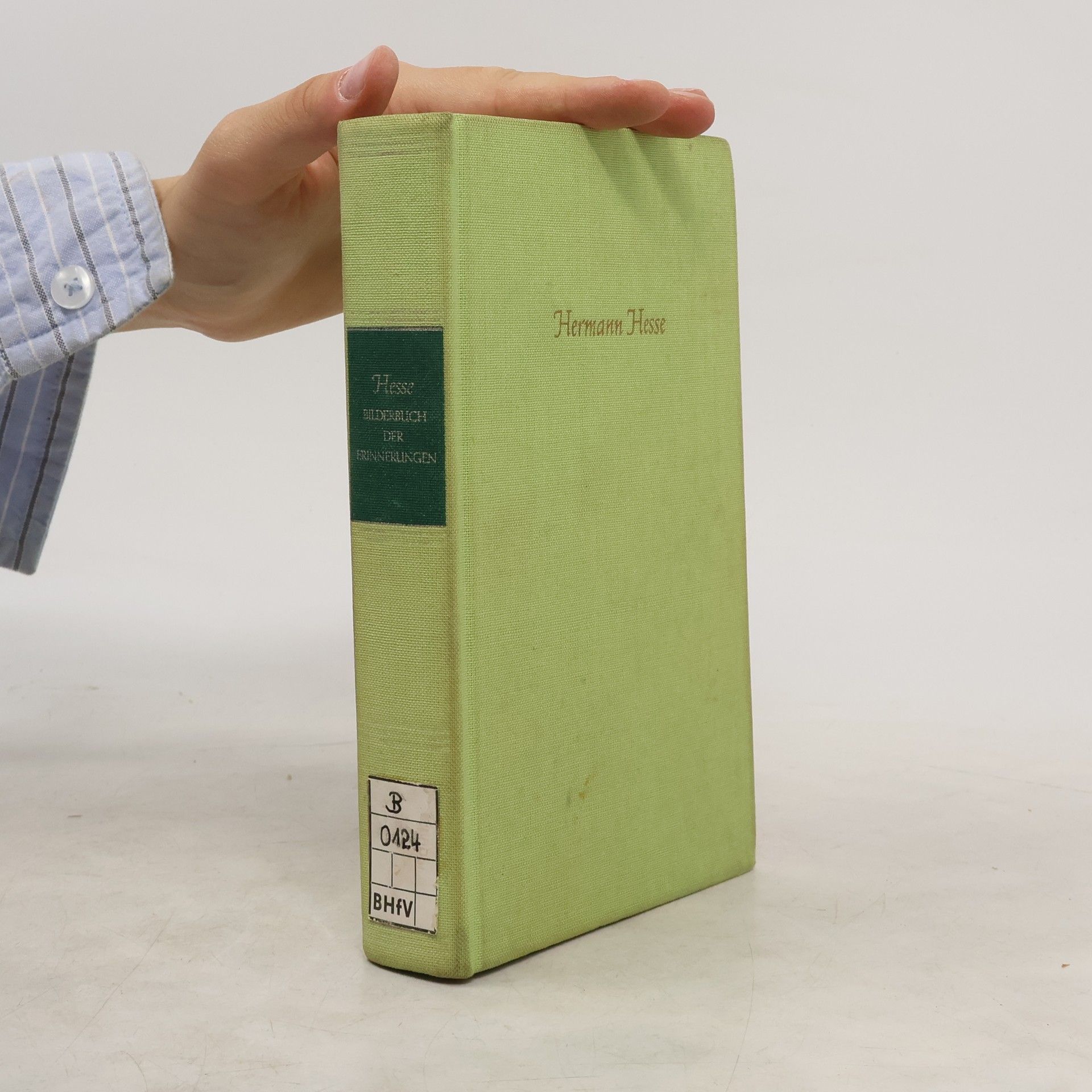 Hermann Hesse Bilderbuch der Erinnerungen