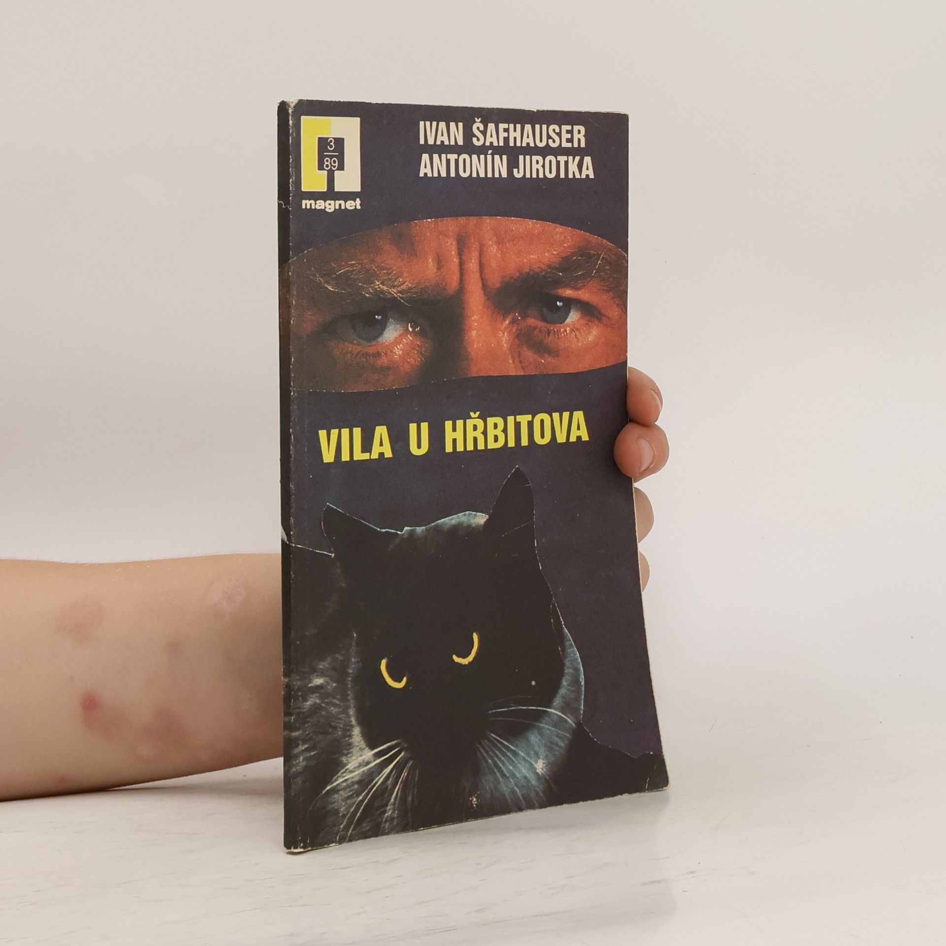 Ivan Šafhauser Vila u hřbitova