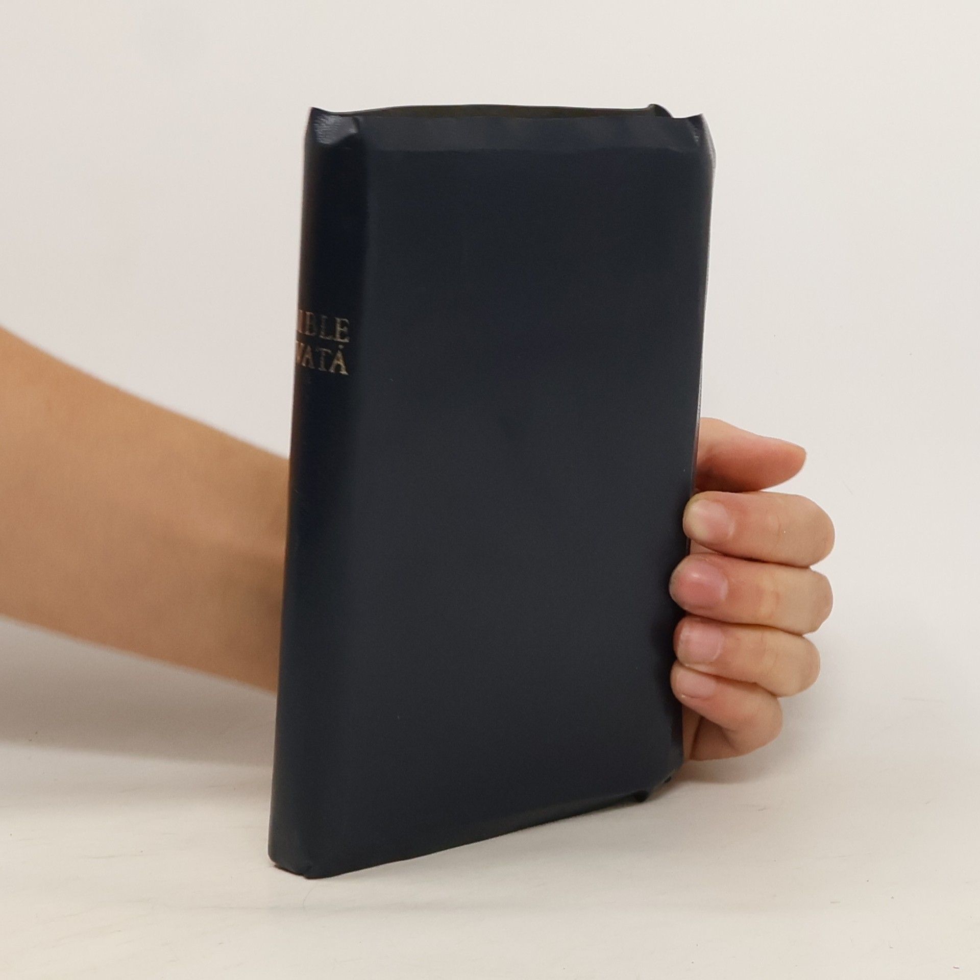 Autorenkollektiv Bible svatá aneb všecka svatá písma Starého i Nového zákona