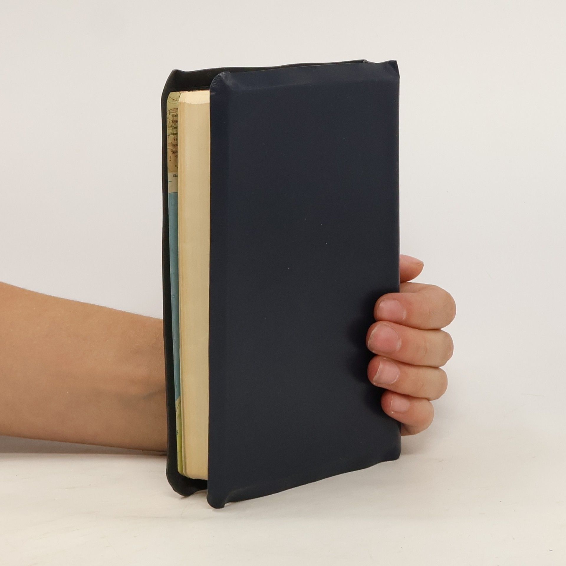 Autorenkollektiv Bible svatá aneb všecka svatá písma Starého i Nového zákona