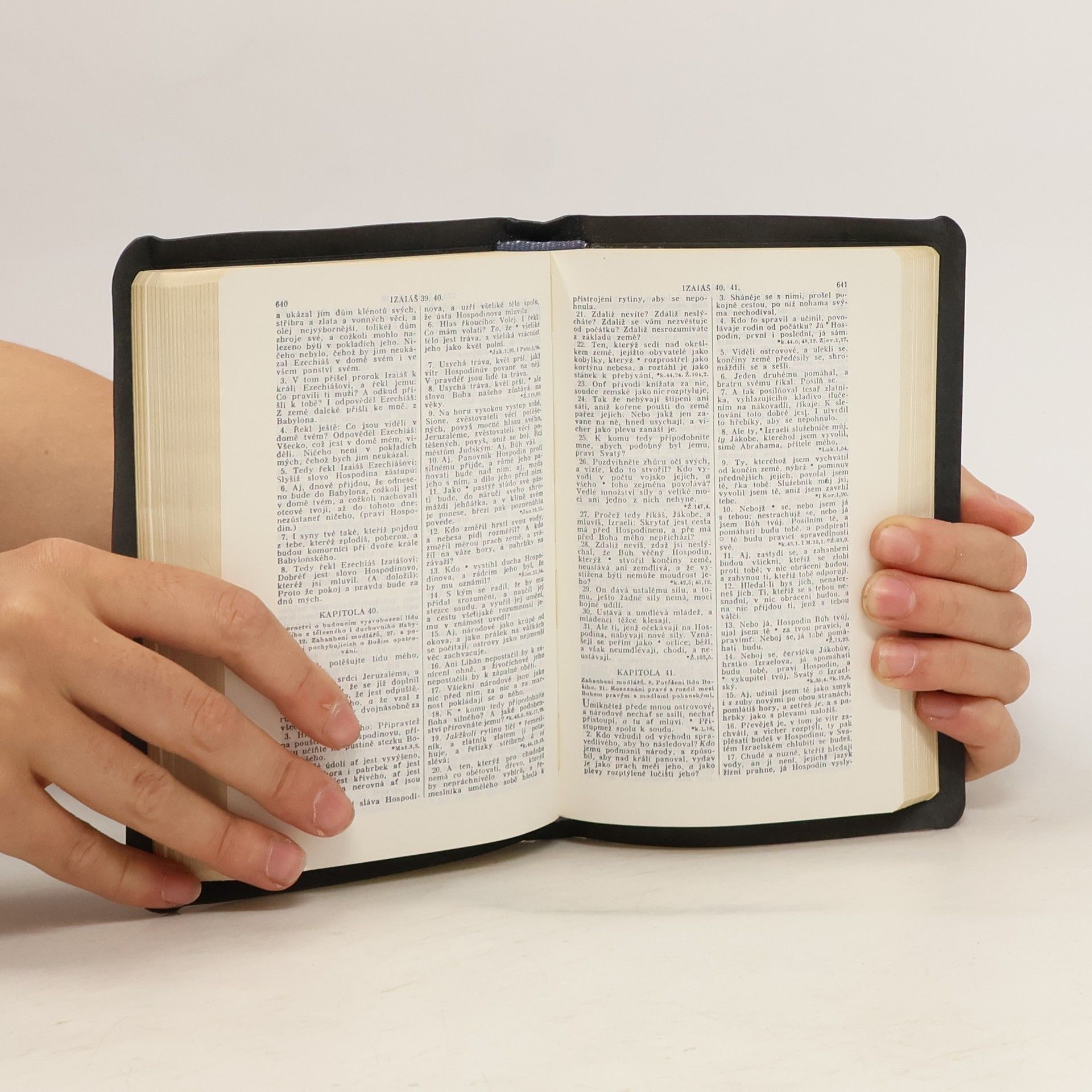 Autorenkollektiv Bible svatá aneb všecka svatá písma Starého i Nového zákona