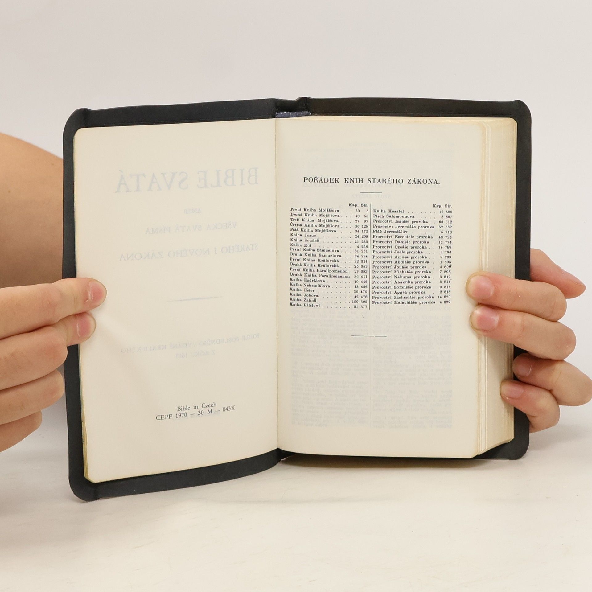 Autorenkollektiv Bible svatá aneb všecka svatá písma Starého i Nového zákona