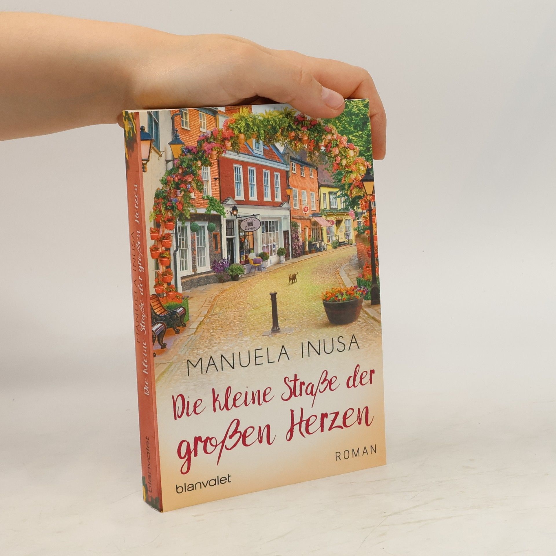 Manuela Inusa Die kleine Straße der großen Herzen