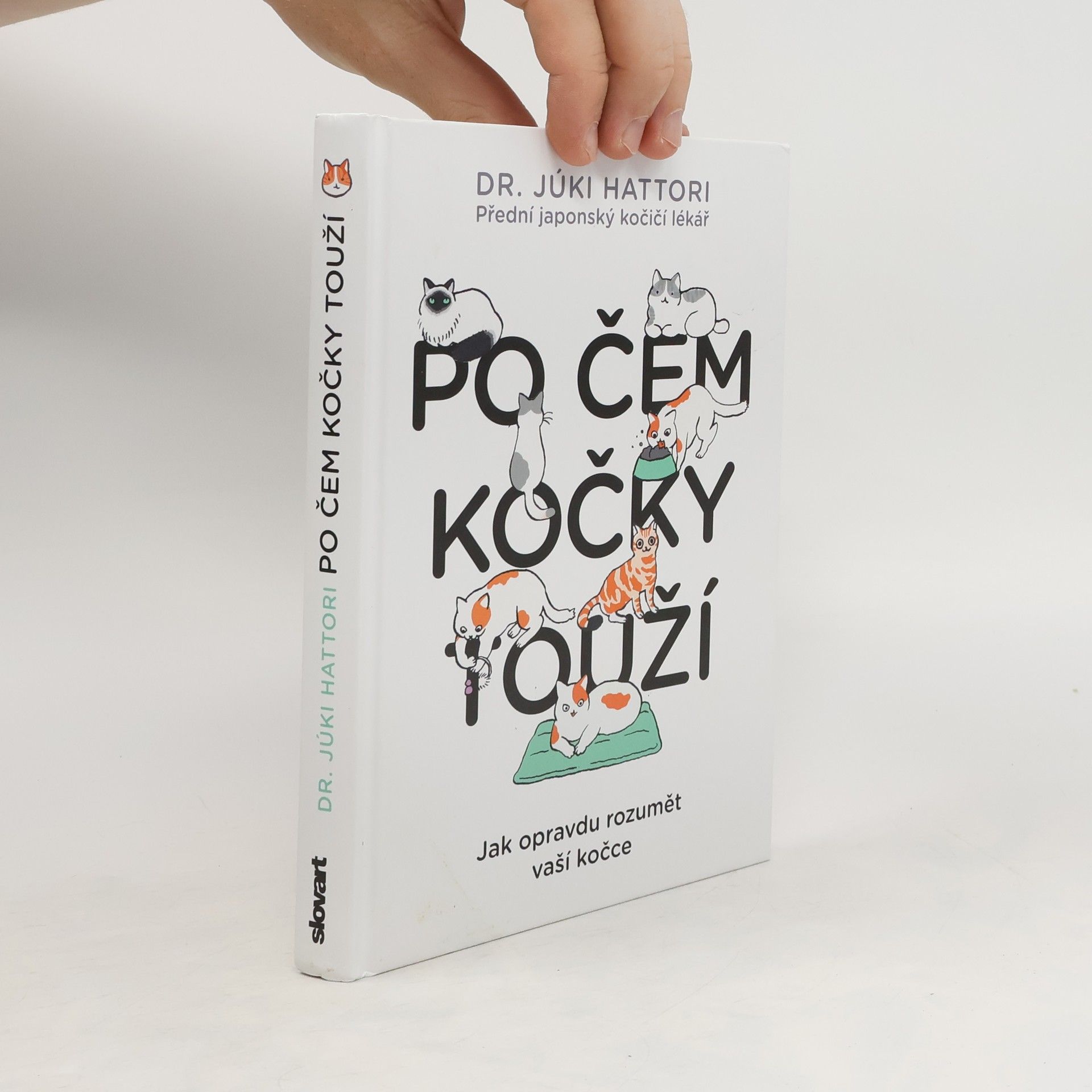 Júki Hattori Po čem kočky touží : jak opravdu rozumět vaší kočce