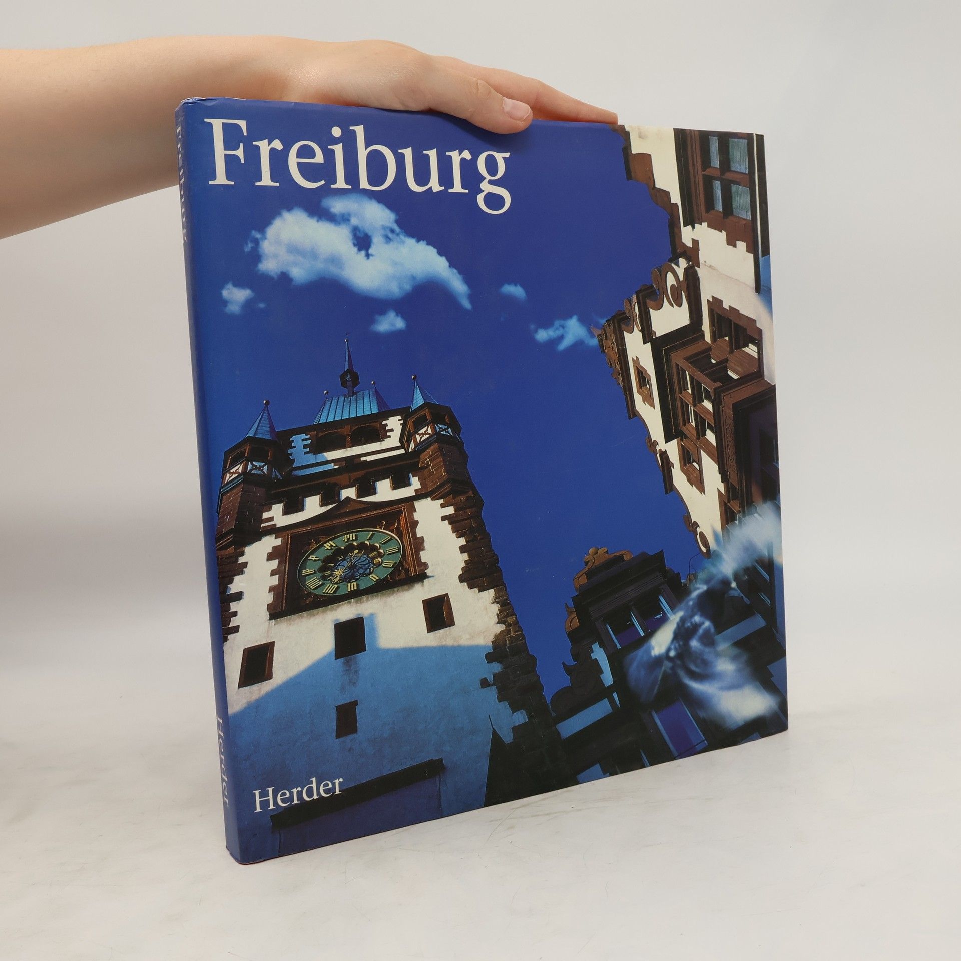 Kolektiv autorů Freiburg