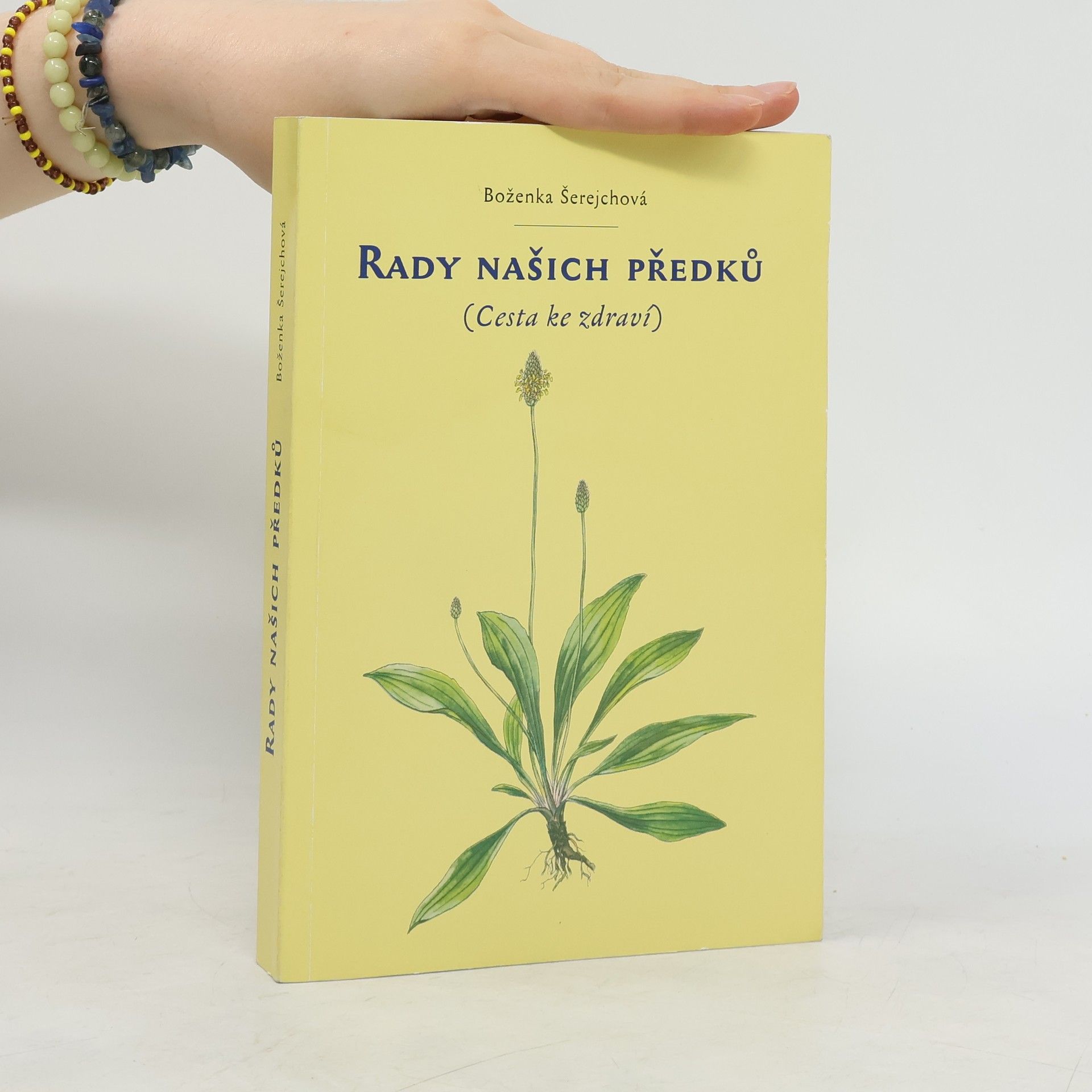 Boženka Šerejchová Rady našich předků (Cesta ke zdraví)