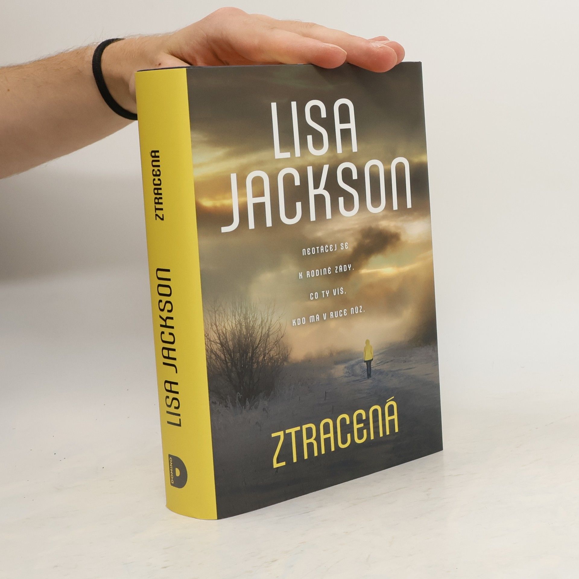 Marie Čermáková Frydrychová Ztracená