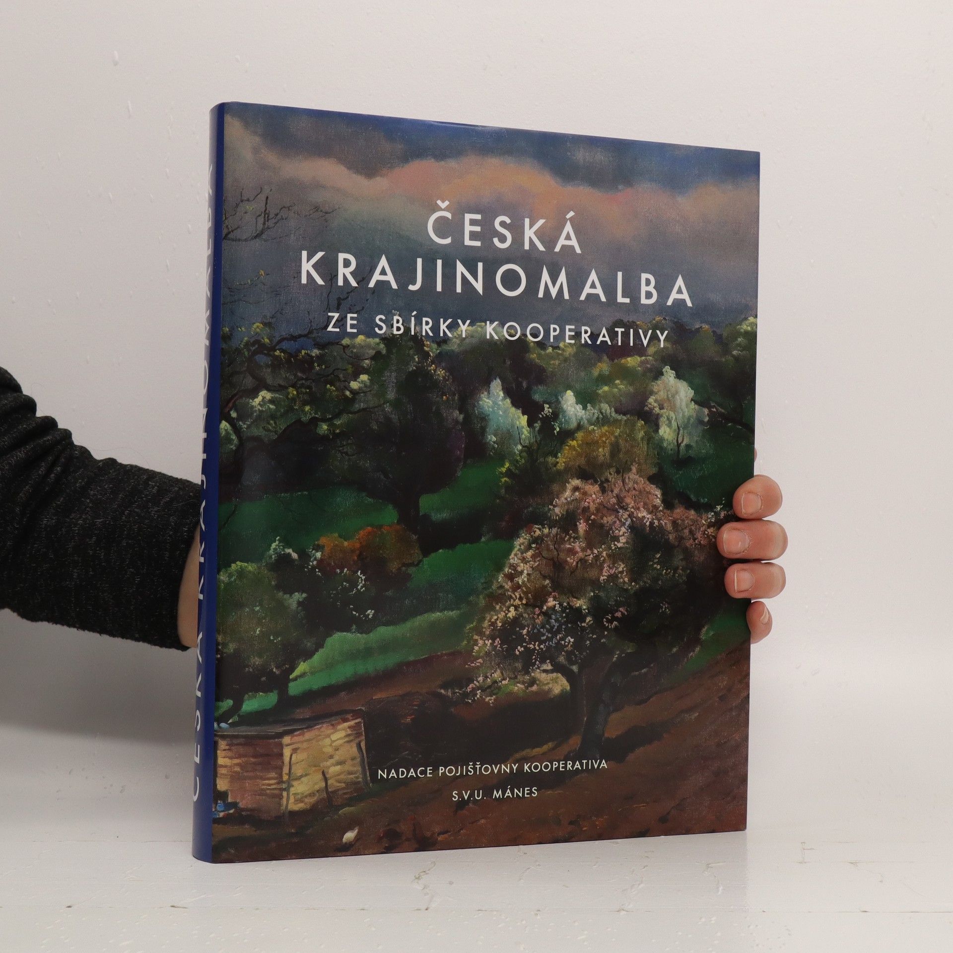 Josef Hora Česká krajinomalba ze sbírky Kooperativy : katalog výstavy Česká krajinomalba