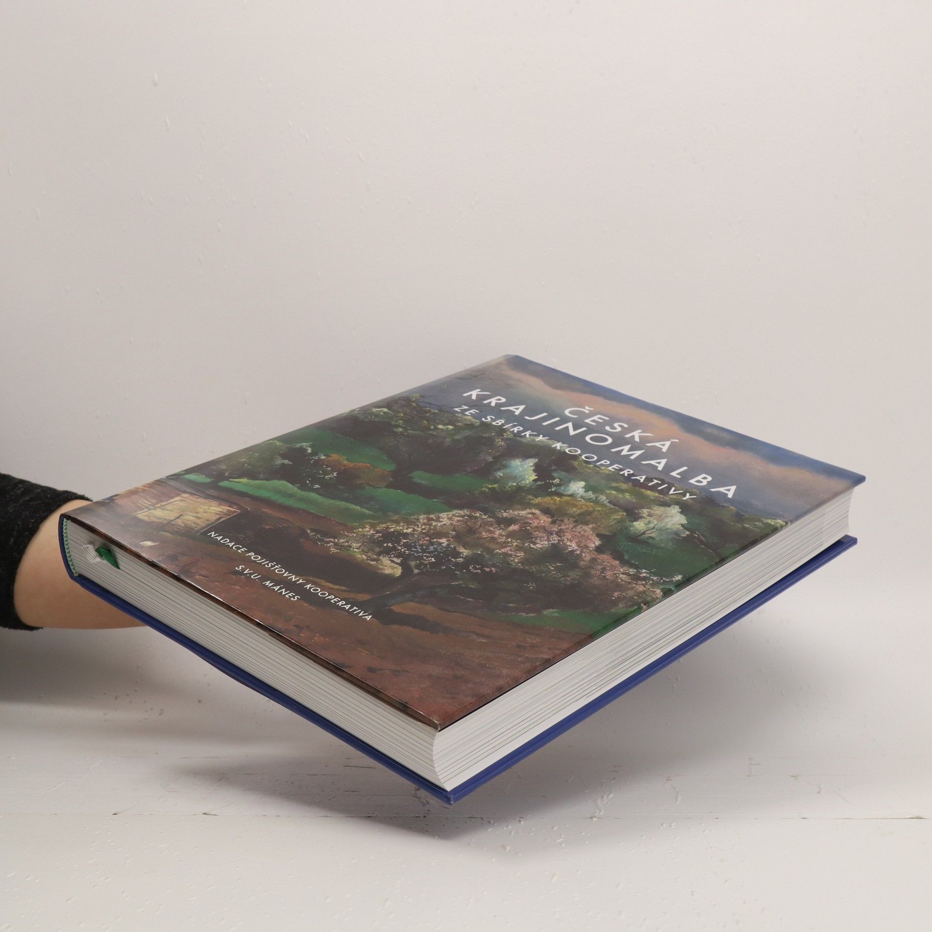 Josef Hora Česká krajinomalba ze sbírky Kooperativy : katalog výstavy Česká krajinomalba