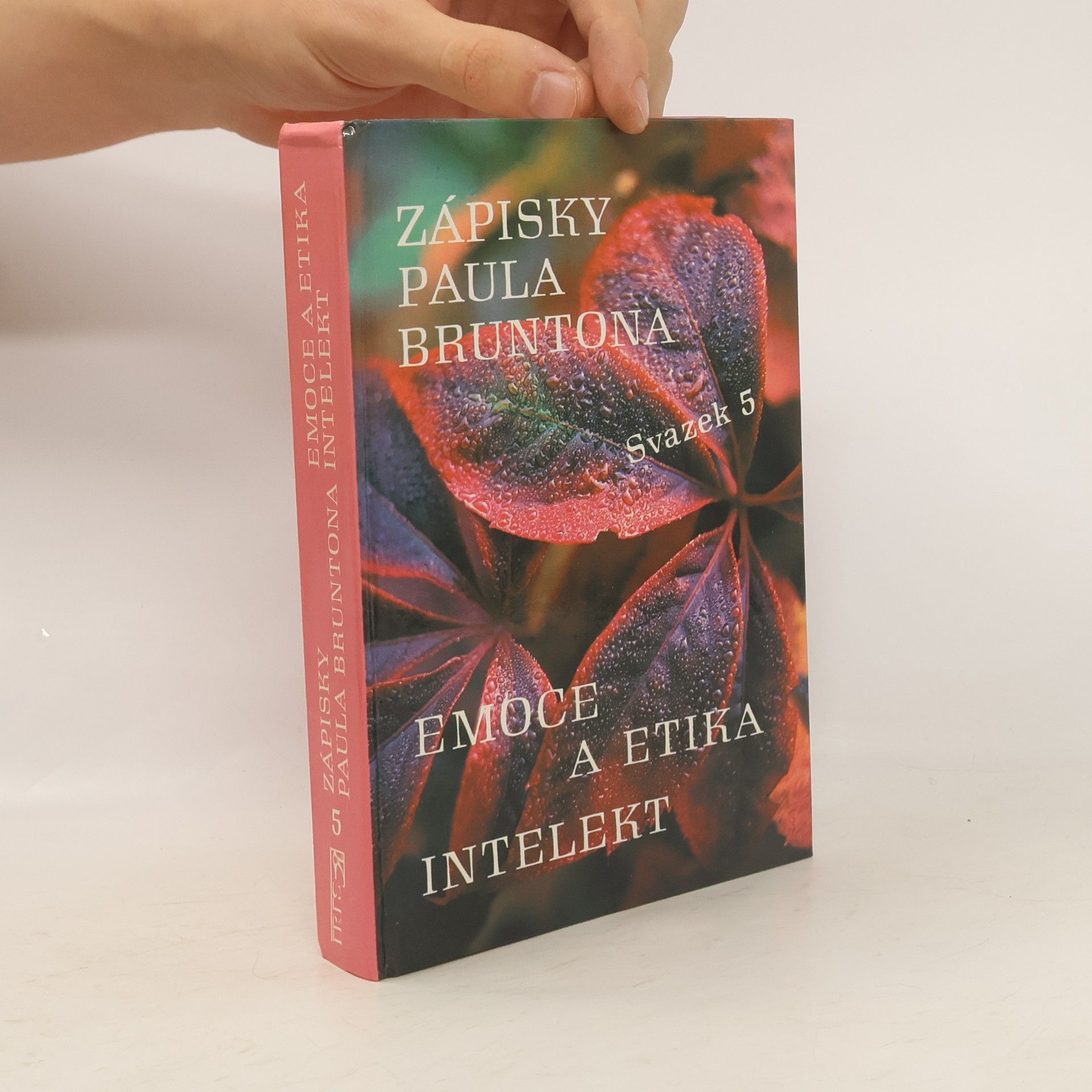 Paul Brunton Zápisky Paula Bruntona. Svazek 5