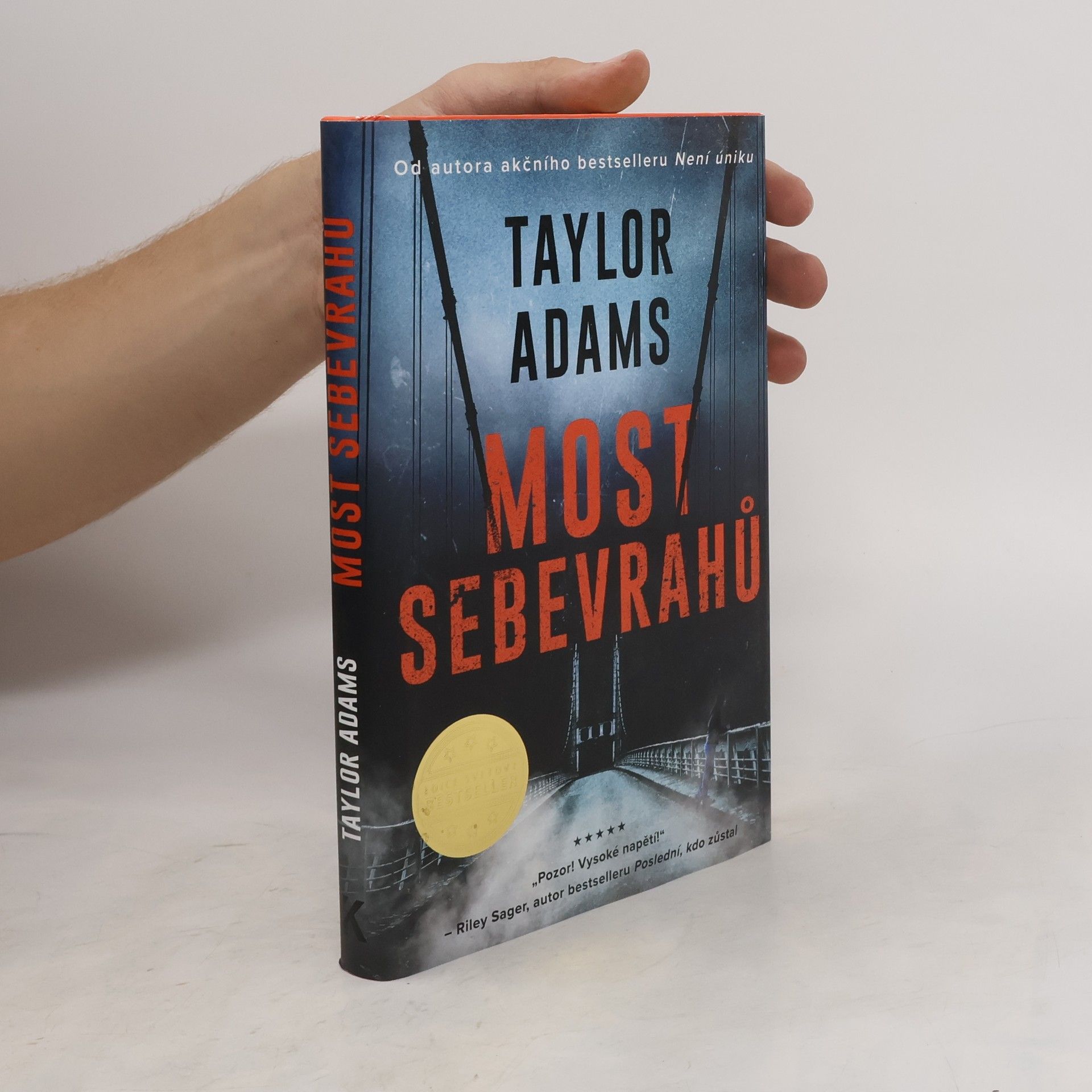 Taylor Adams Most sebevrahů