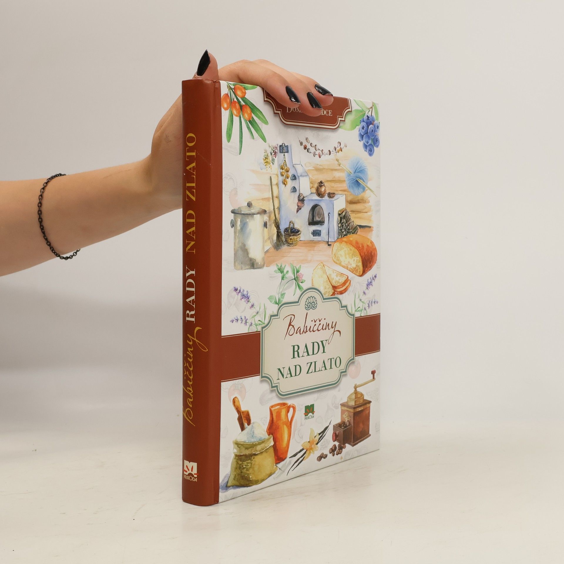 Collectif d'auteurs Babiččiny rady nad zlato