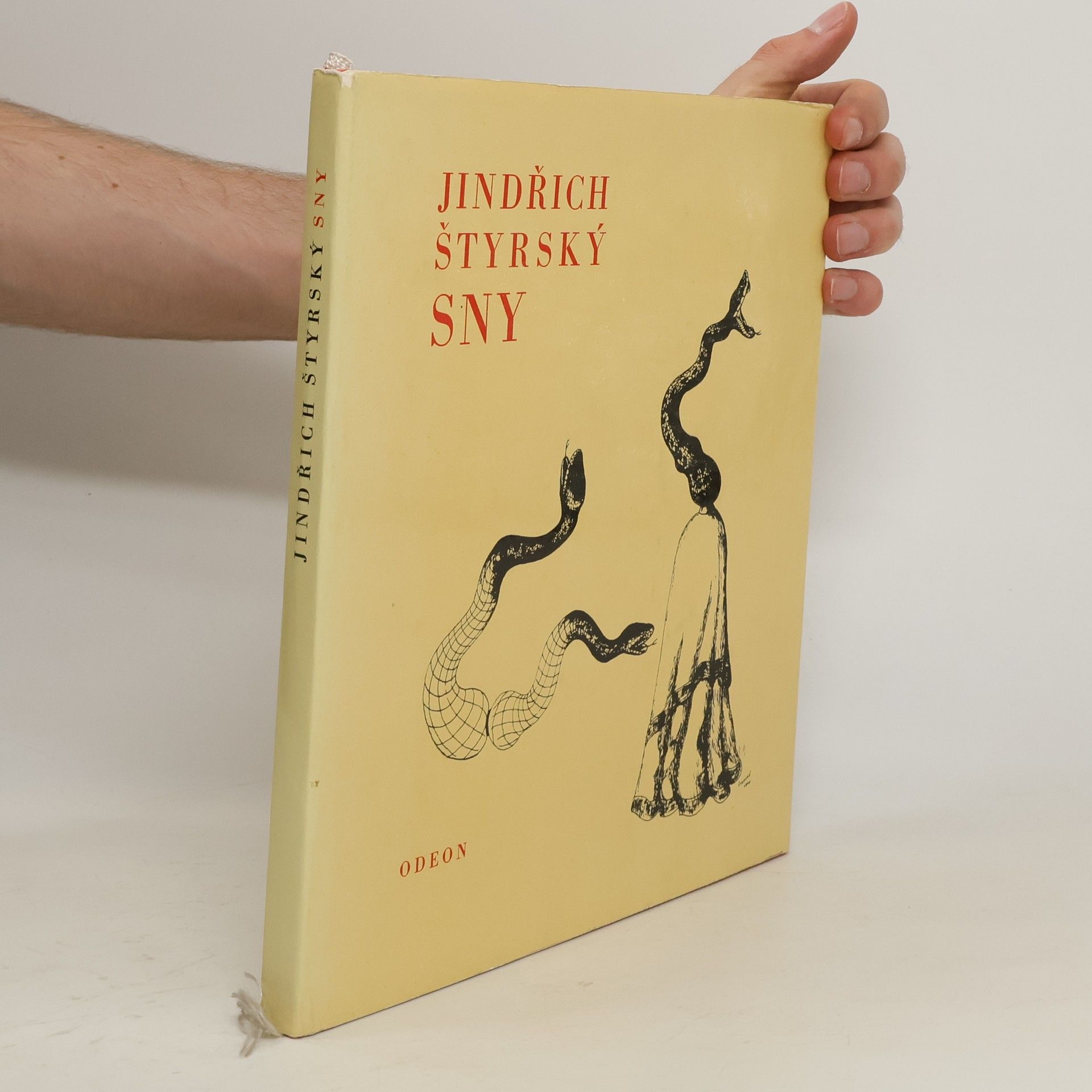 Jindřich Štýrsky Sny