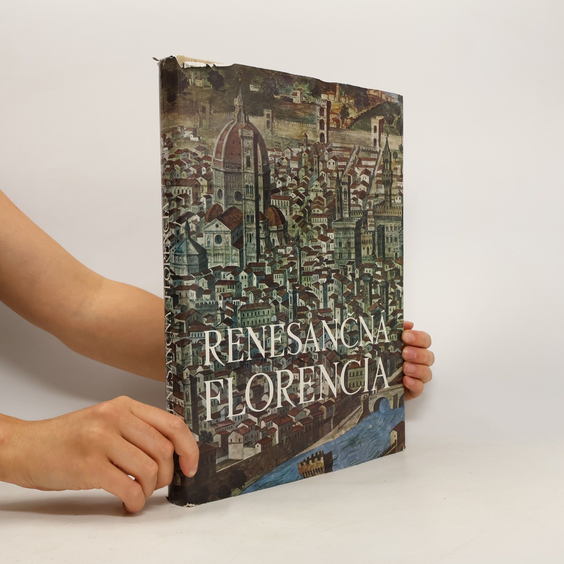 Anna Škorupová Renesančná Florencia