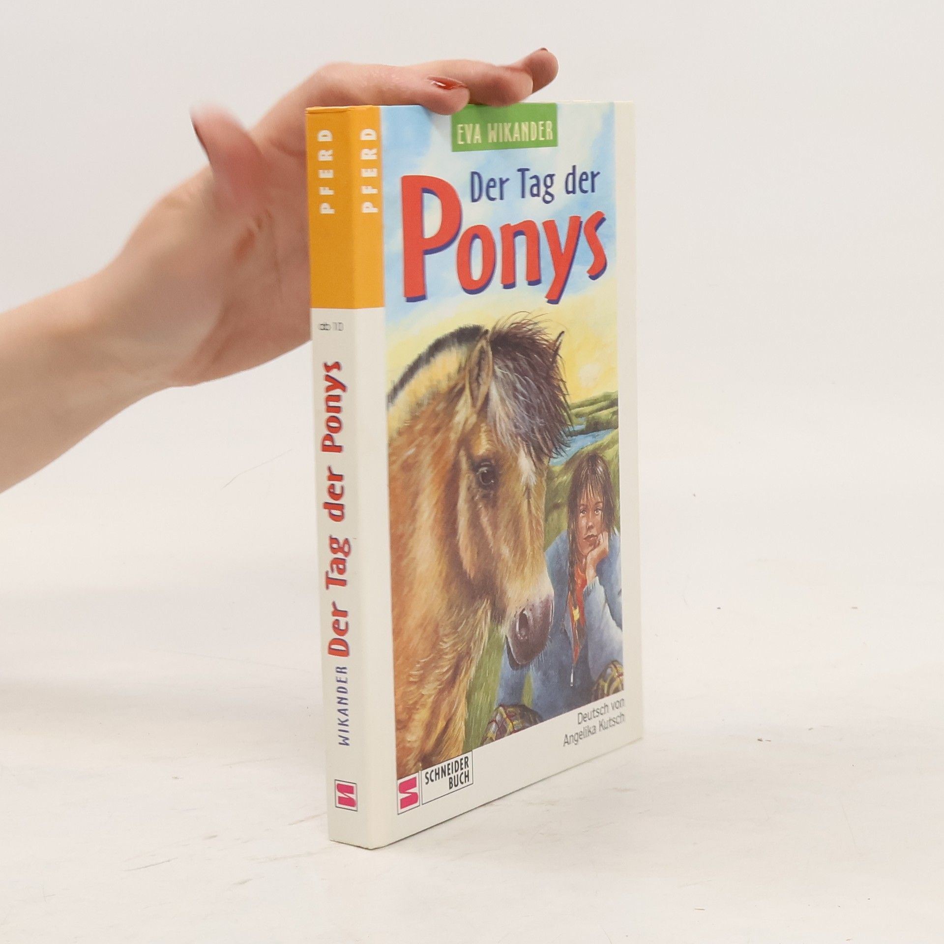Eva Wikander Der Tag der Ponys