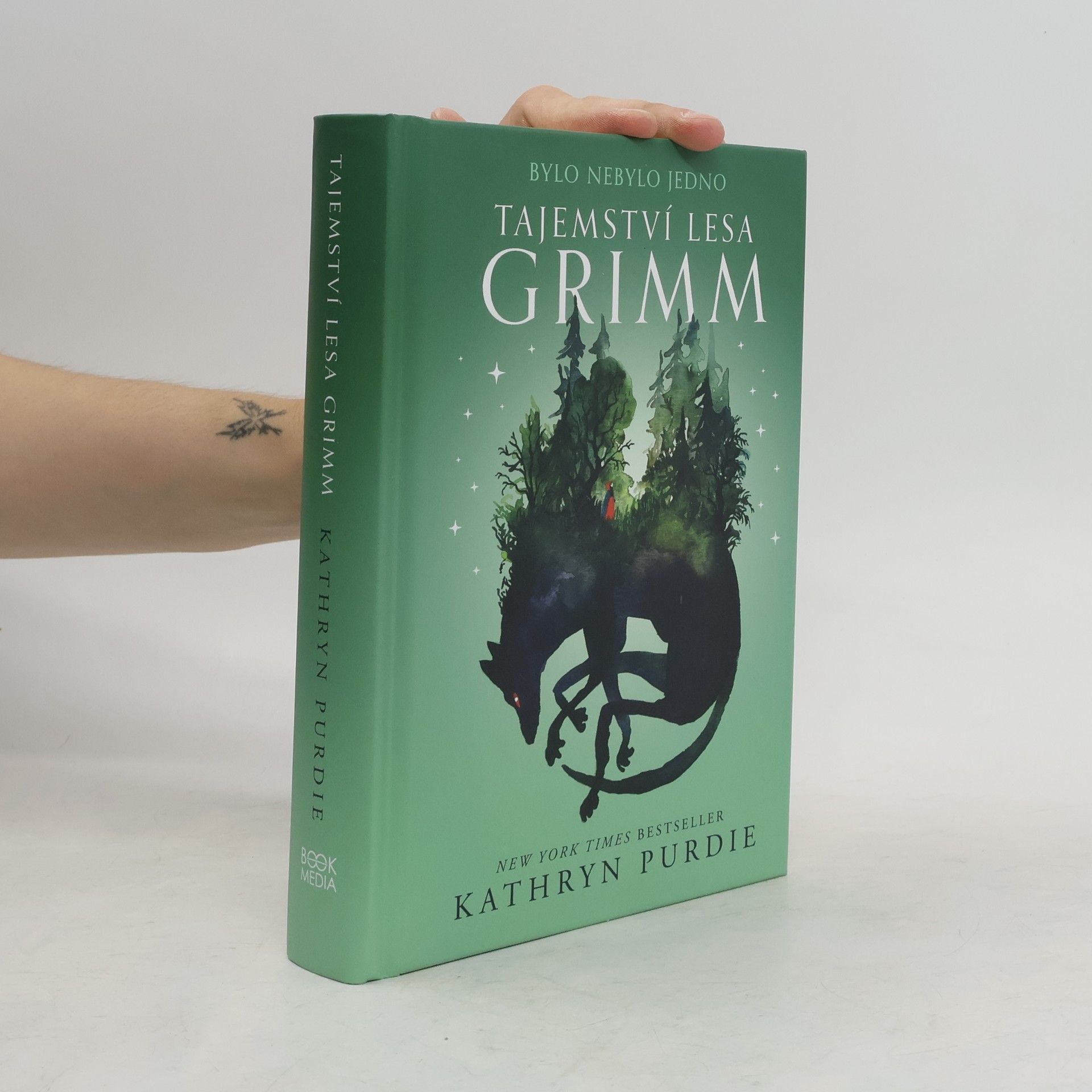 Kathryn Purdie Tajemství lesa Grimm