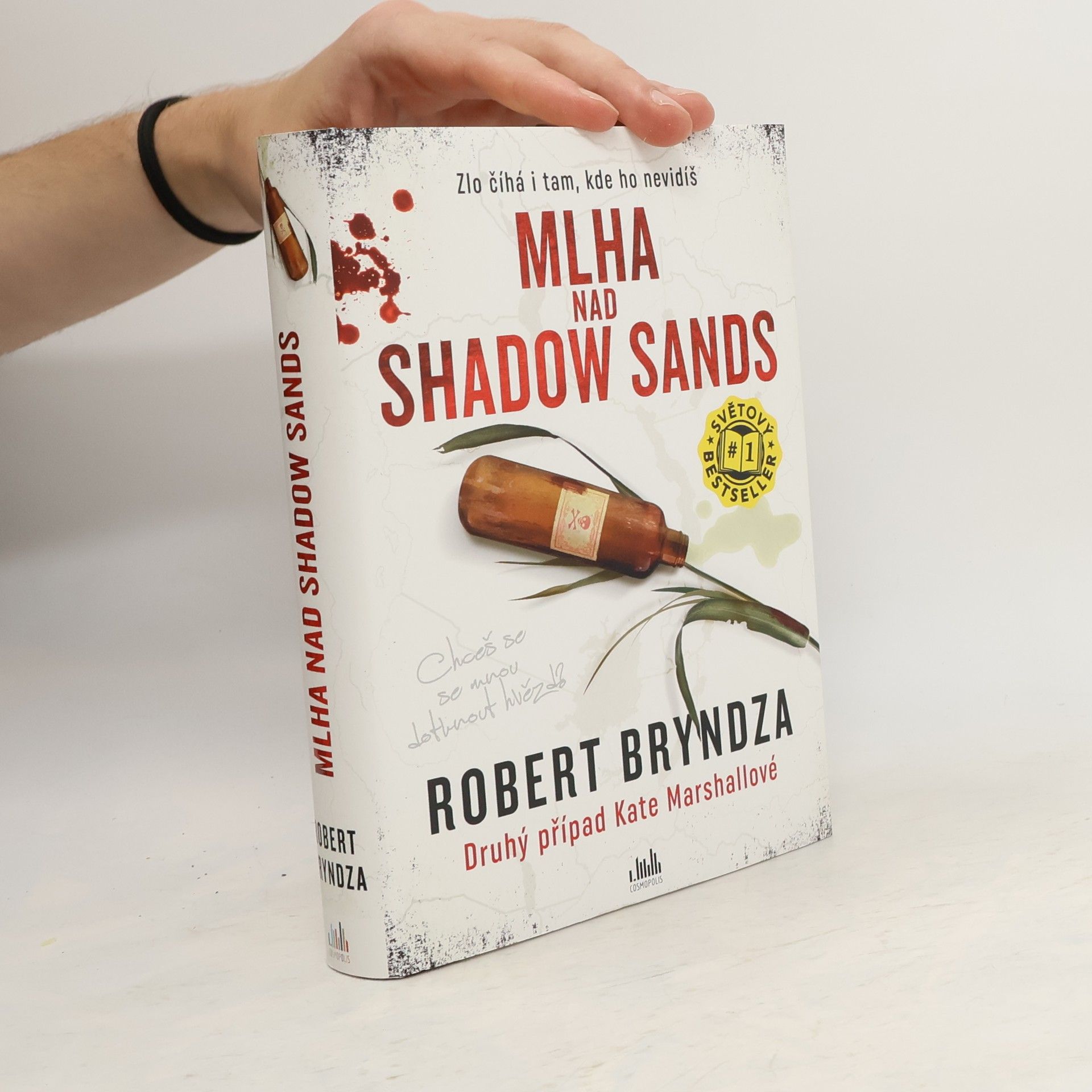 Robert Bryndza Mlha nad Shadow Sands