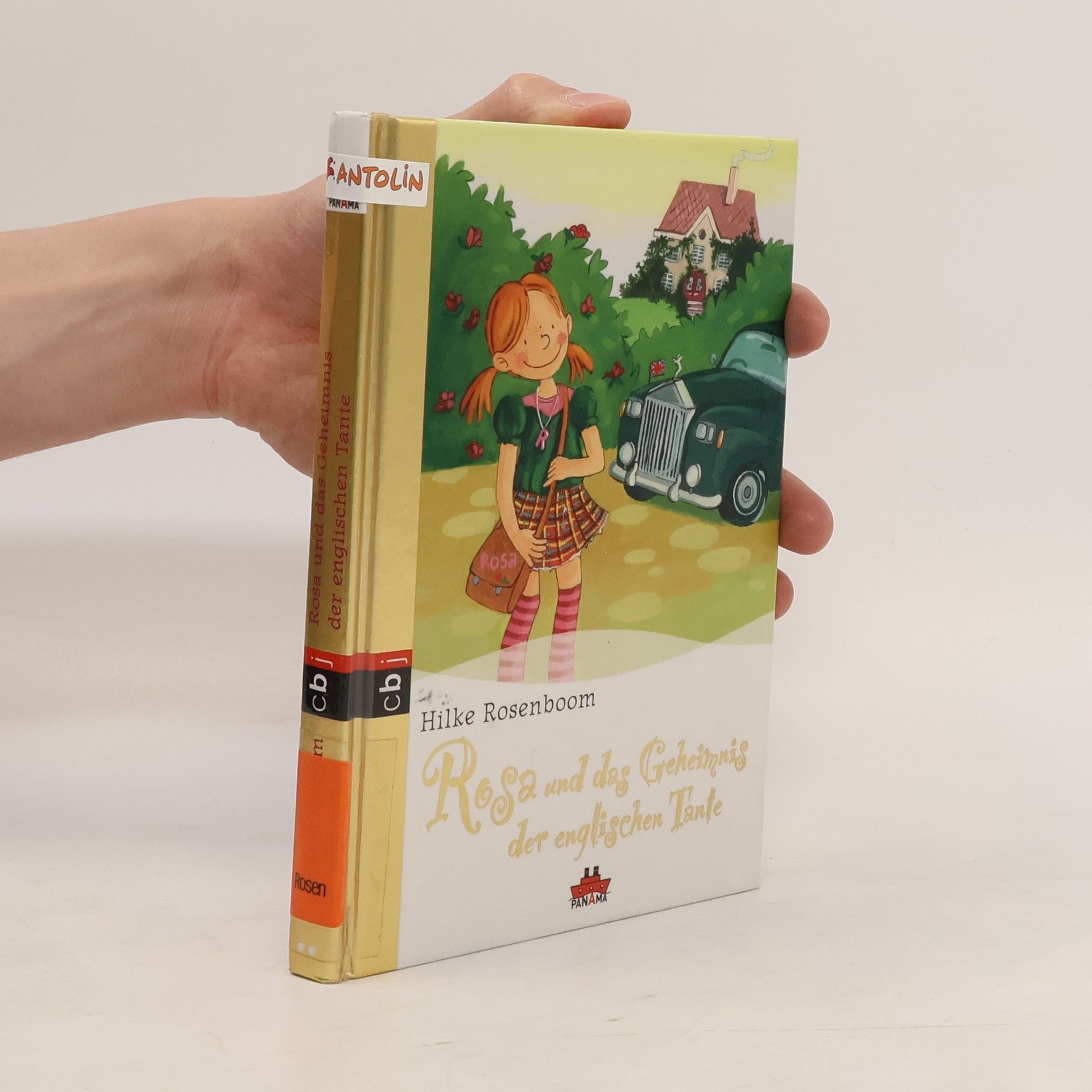 Hilke Rosenboom Rosa und das Geheimnis der englischen Tante