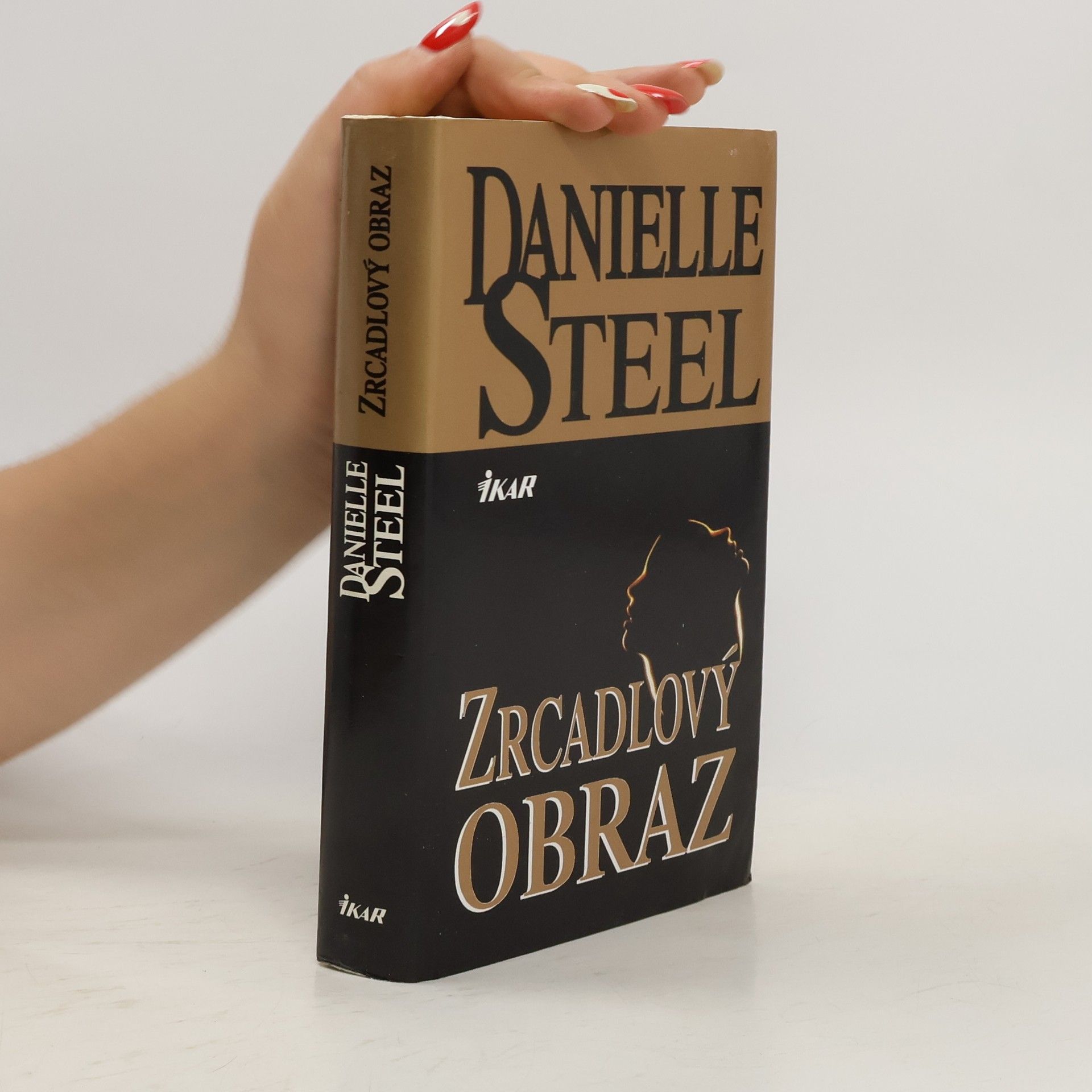 Danielle Steel Zrcadlový obraz