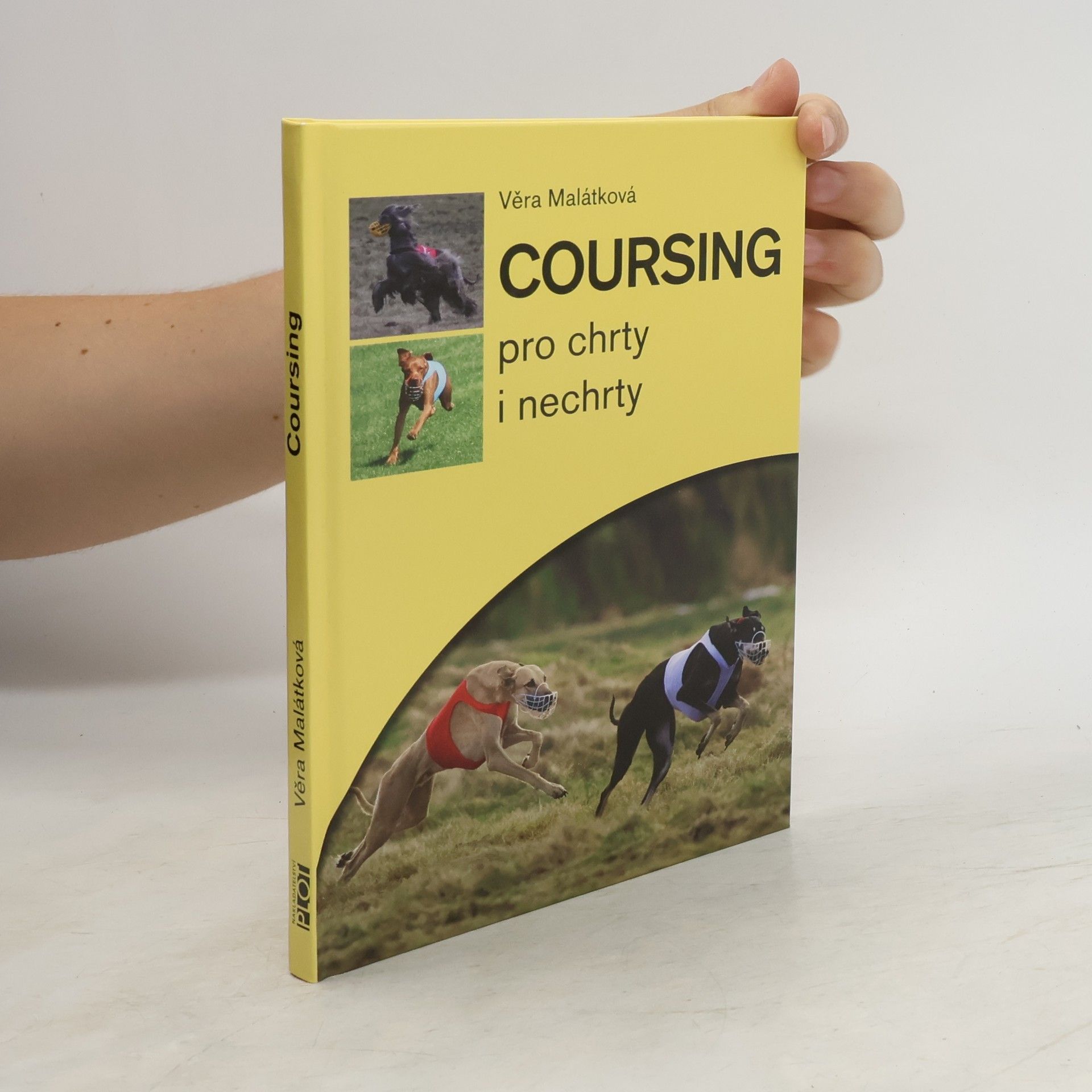Věra Malátková Coursing pro chrty i nechrty