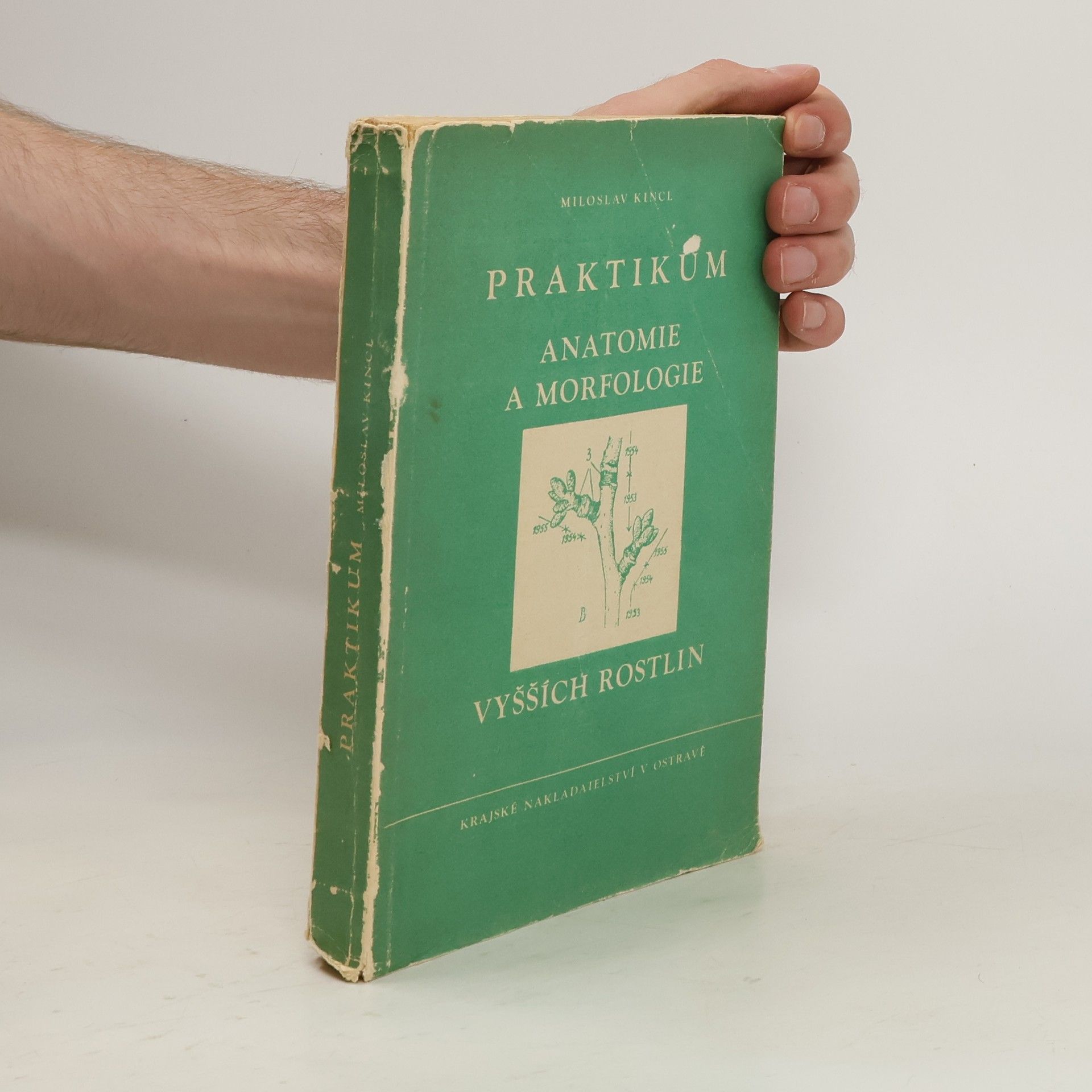Miloslav Kincl Praktikum. Anatomie a morfologie vyšších rostlin