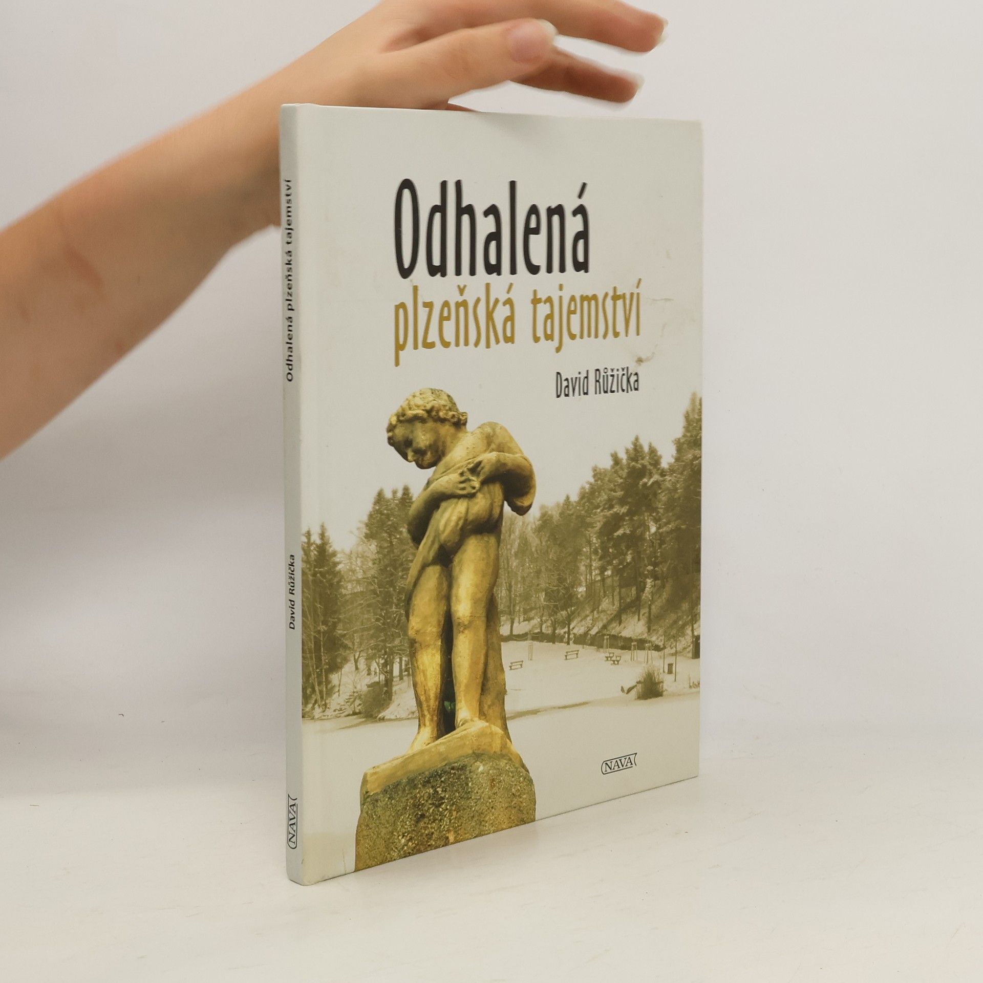 David Růžička Odhalená plzeňská tajemství