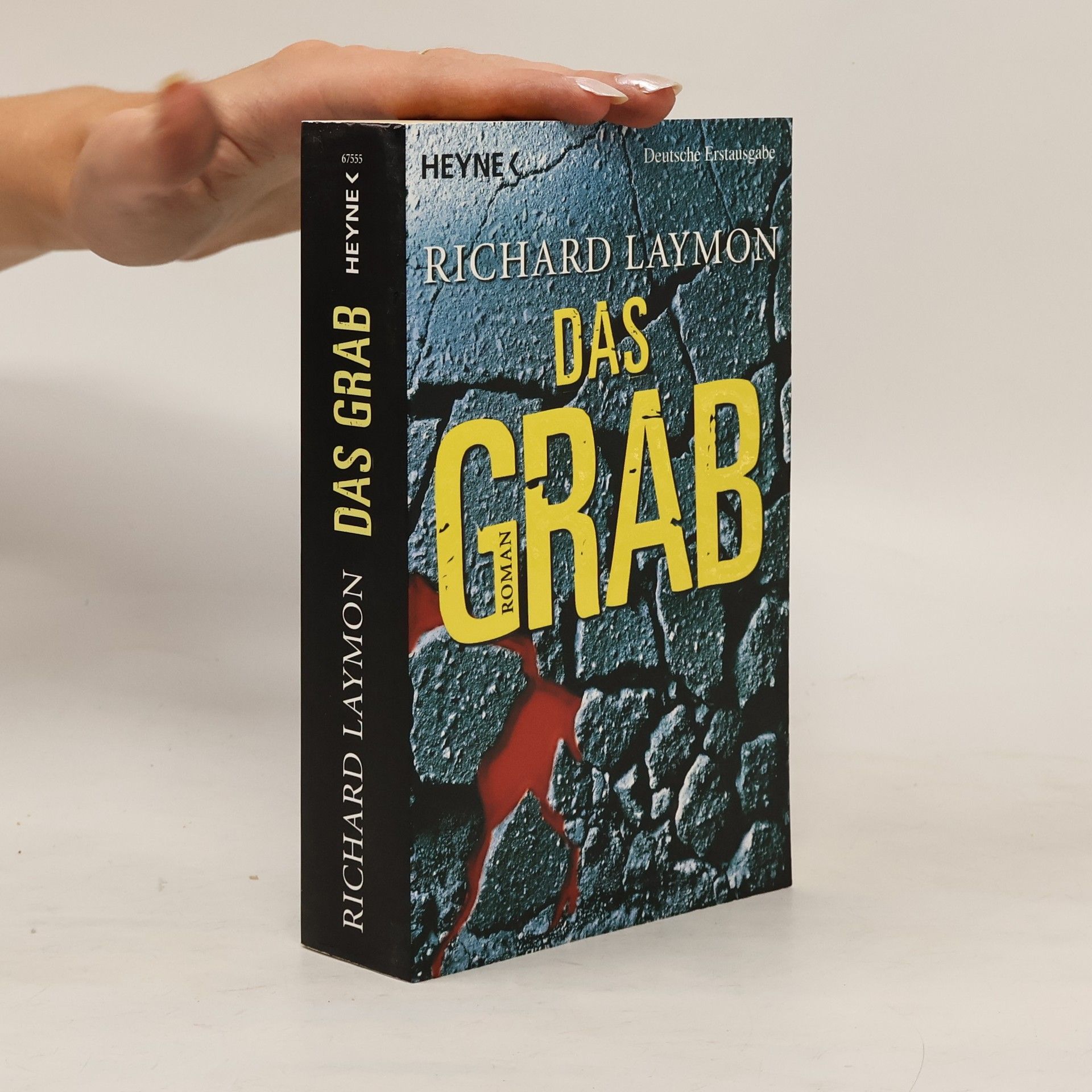Richard Laymon Das Grab