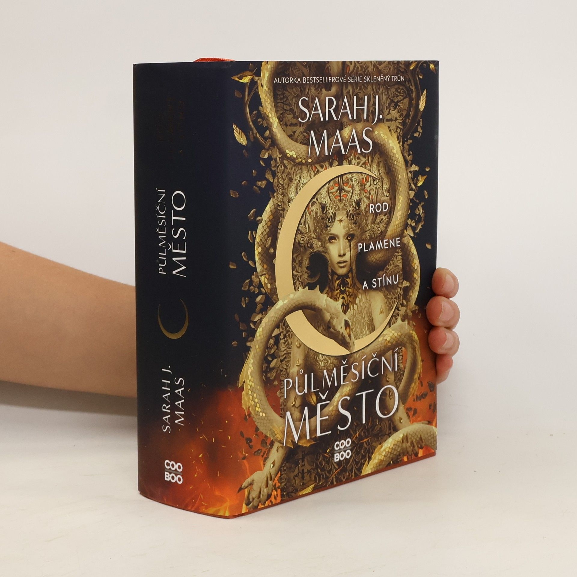Sarah J. Maas Rod plamene a stínu
