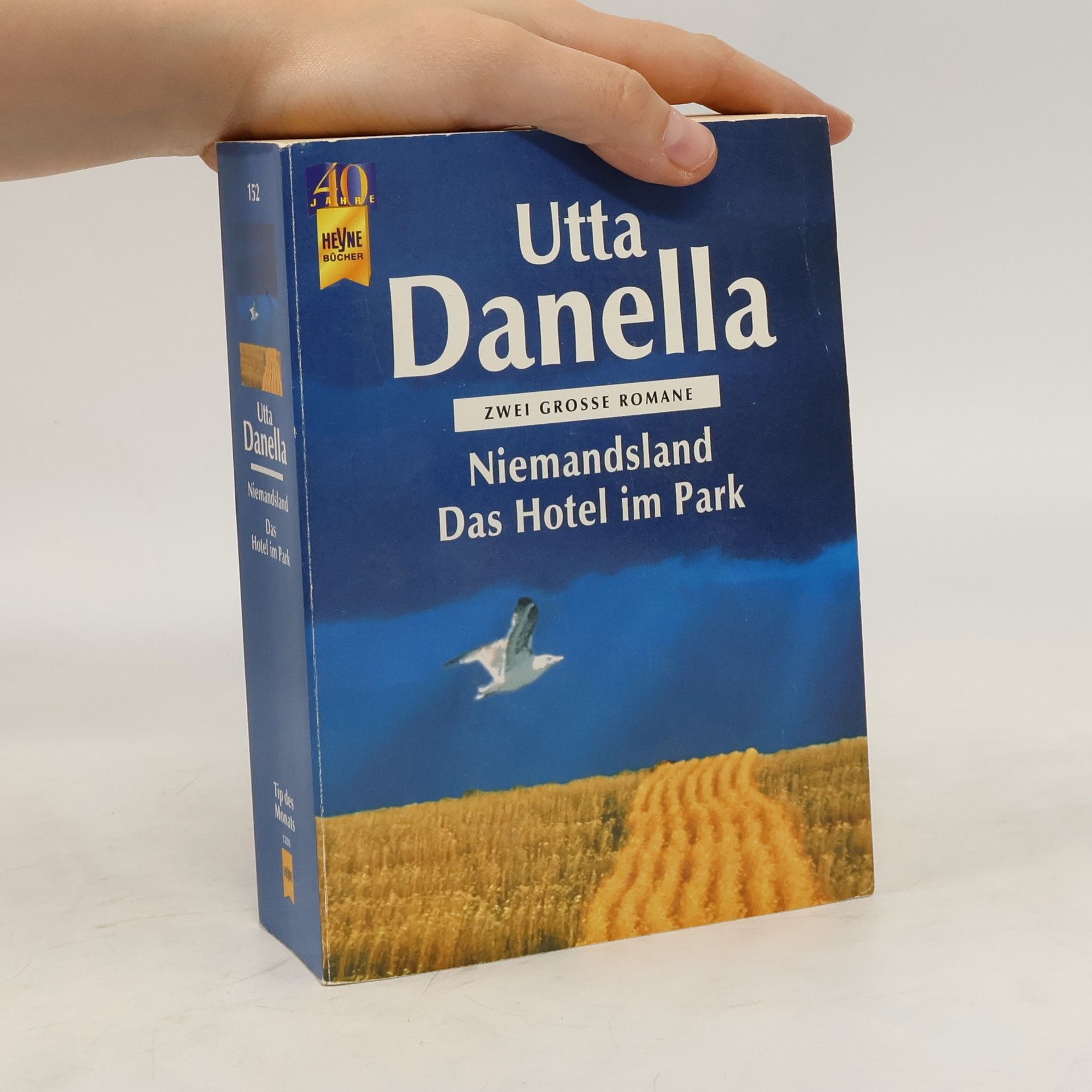 Utta Danella Niemandsland. Das Hotel im Park. Zwei große Romane