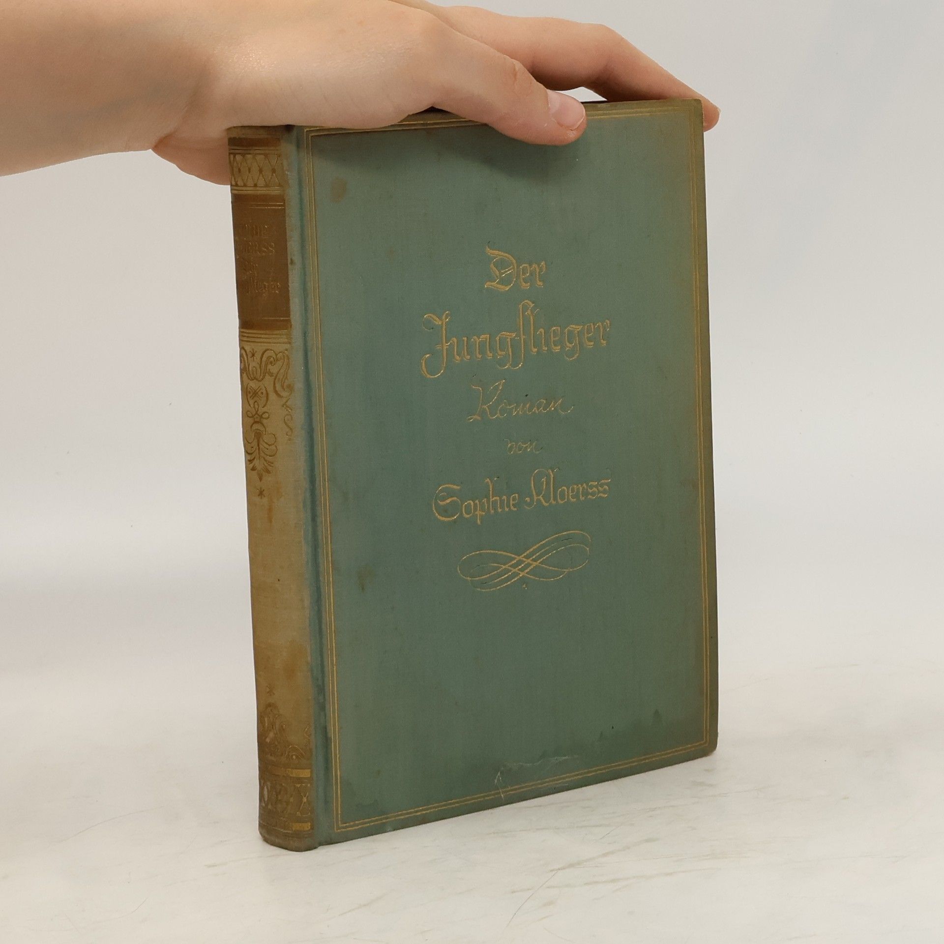Sophie Kloerss Der Jungflieger