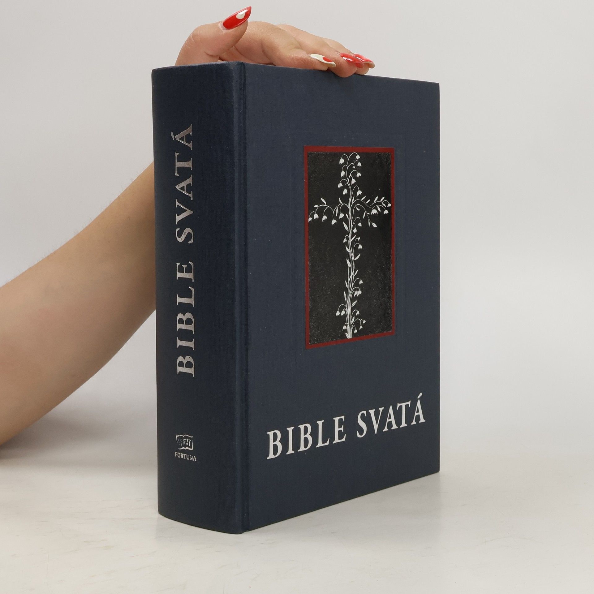kolektiv  Kralická Bible svatá, aneb, Všecka svatá písma Starého i Nového zákona : podle posledního vydání Kralického z roku 1613