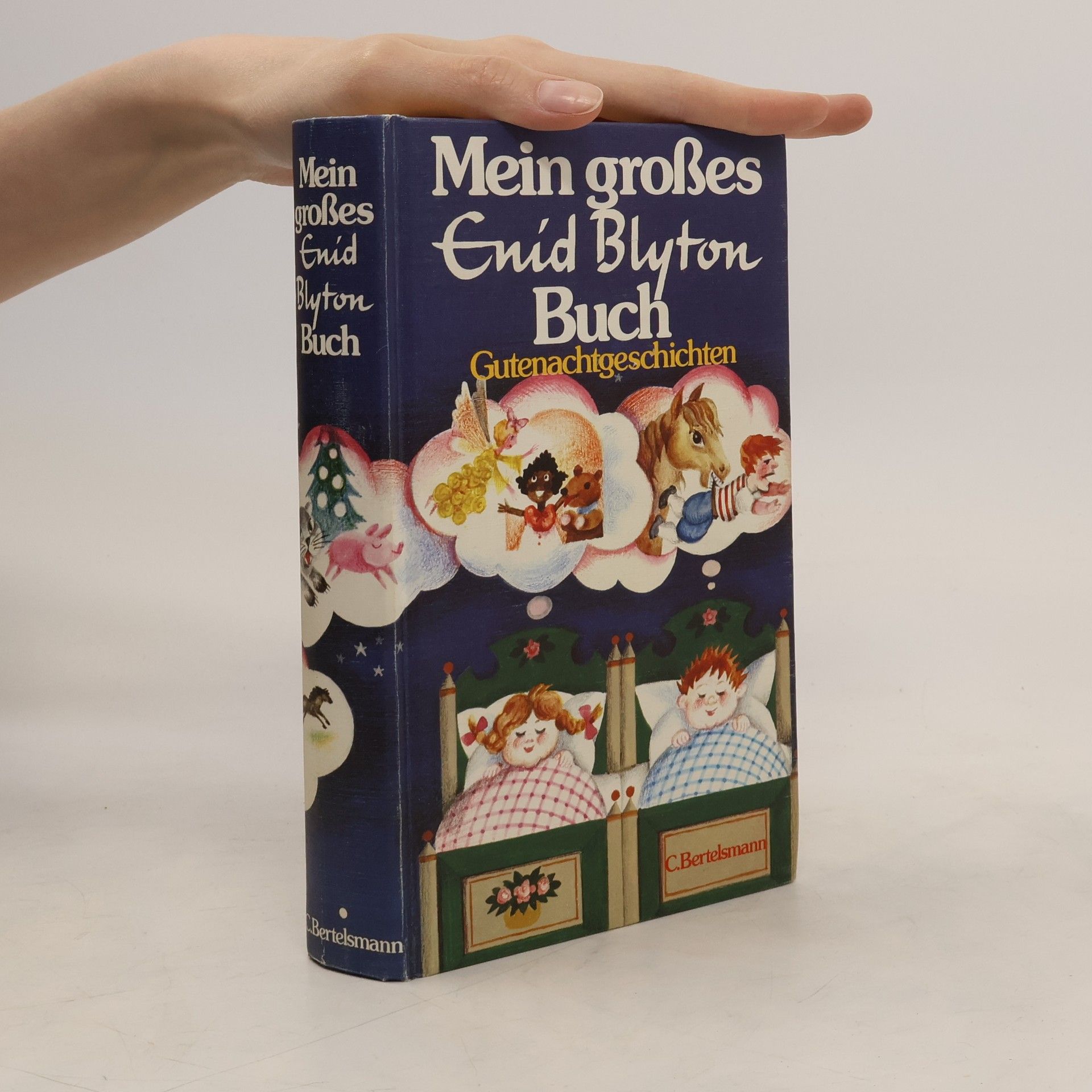 Enid Blyton Das große Buch der Abenteuergeschichten