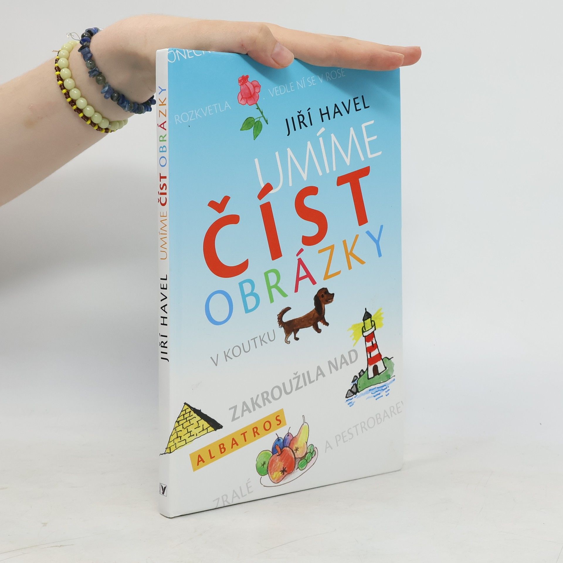 Jiří Havel Umíme číst obrázky
