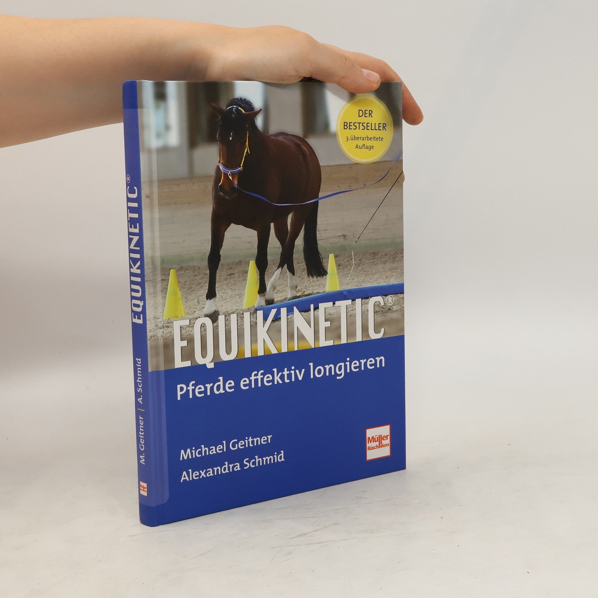 Michael Geitner Equikinetic