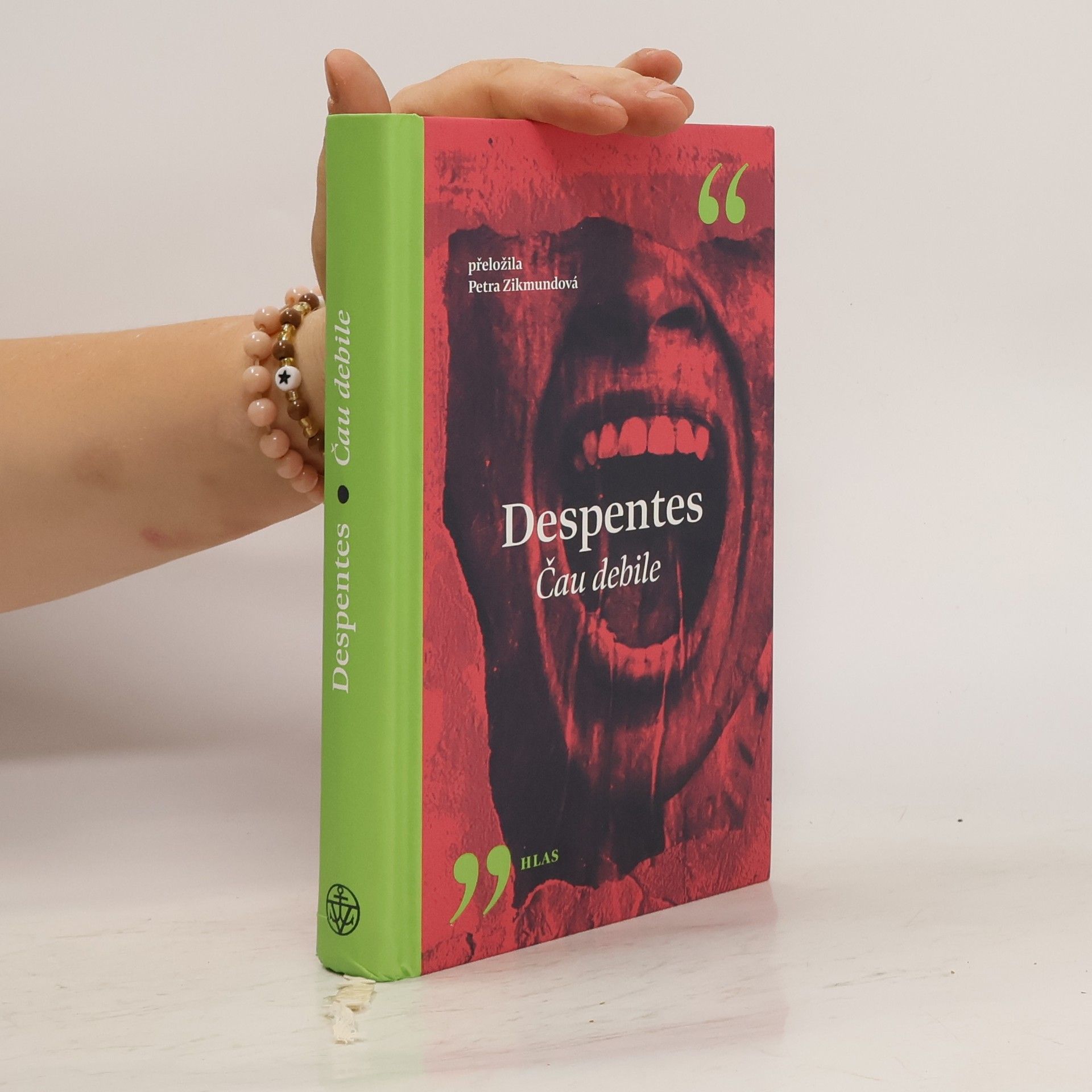 Virginie Despentes Čau debile