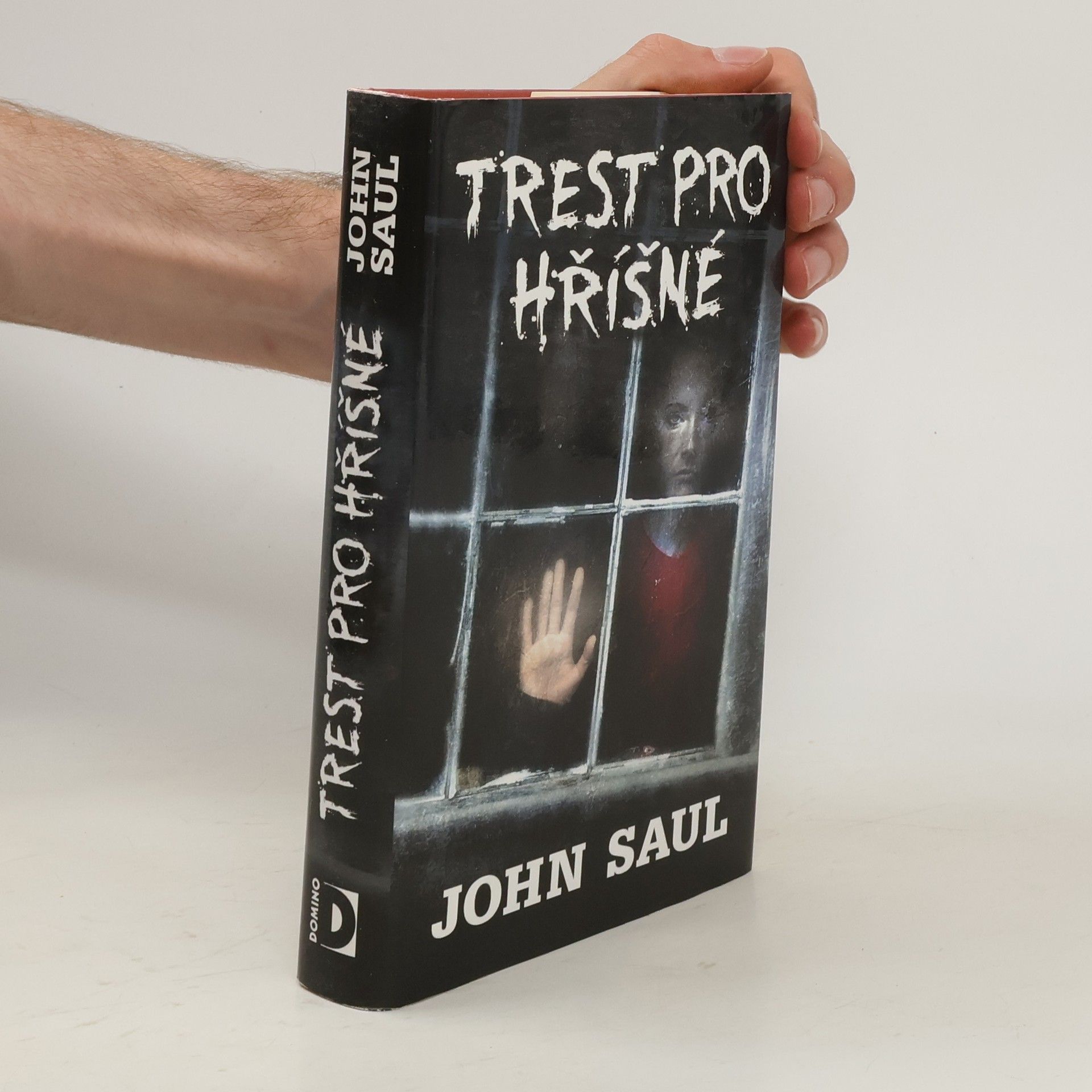John Saul Trest pro hříšné