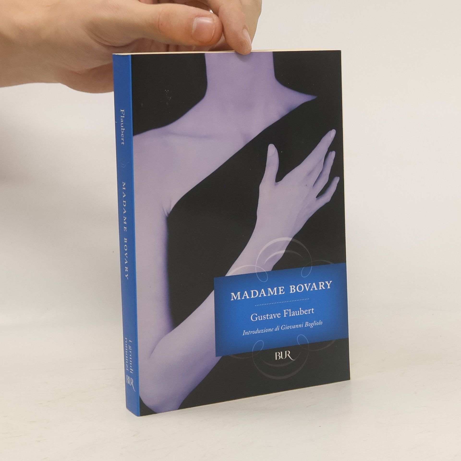 Gustave Flaubert Madame Bovary