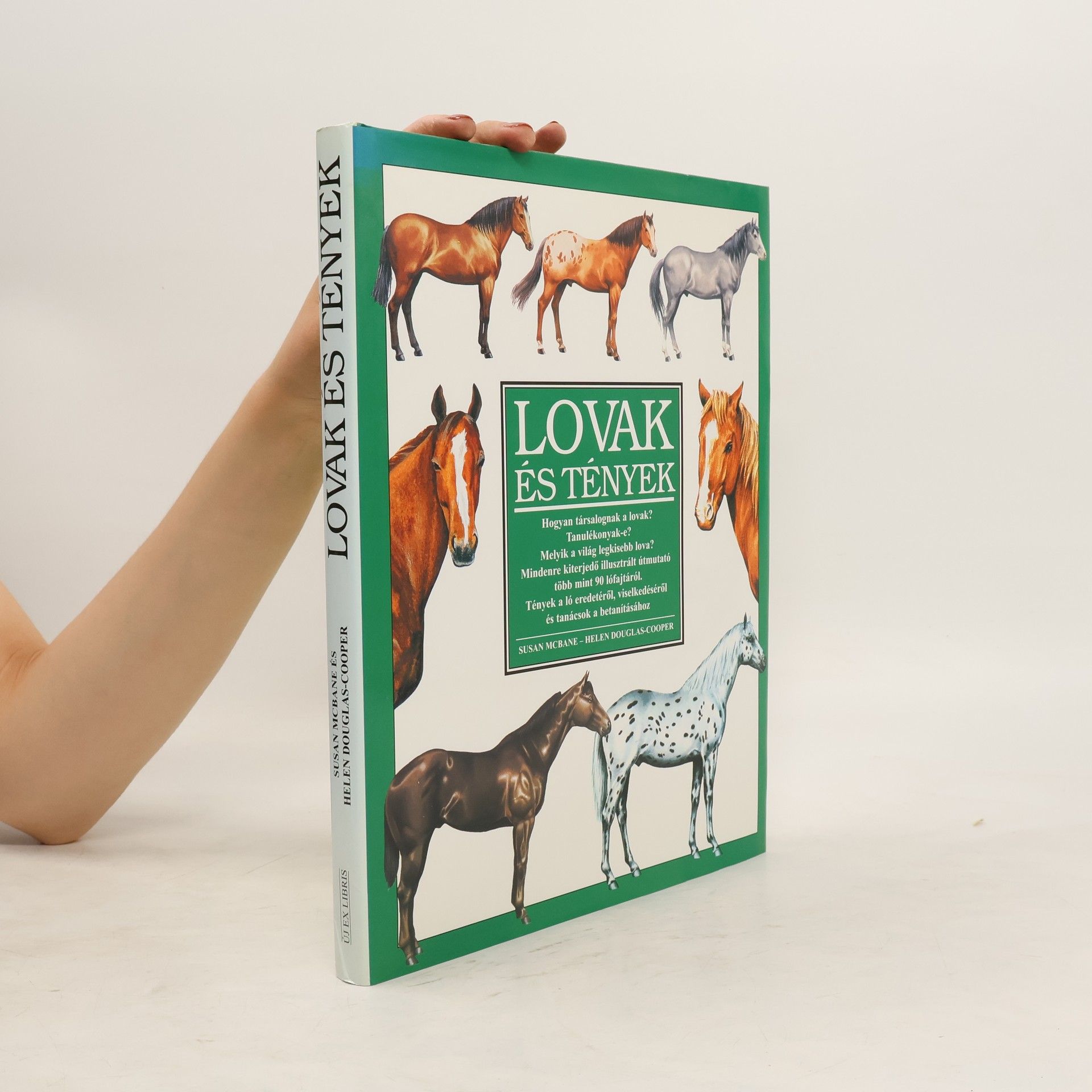 Susan McBane Lovak és tények