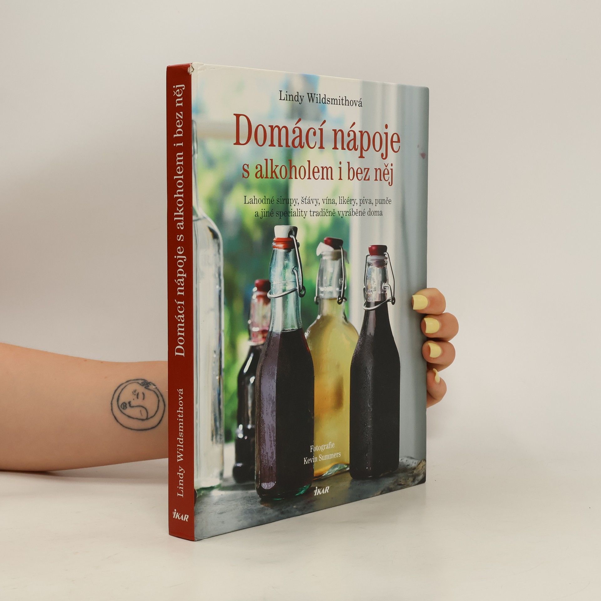 Lindy Wildsmith Domácí nápoje s alkoholem i bez něj
