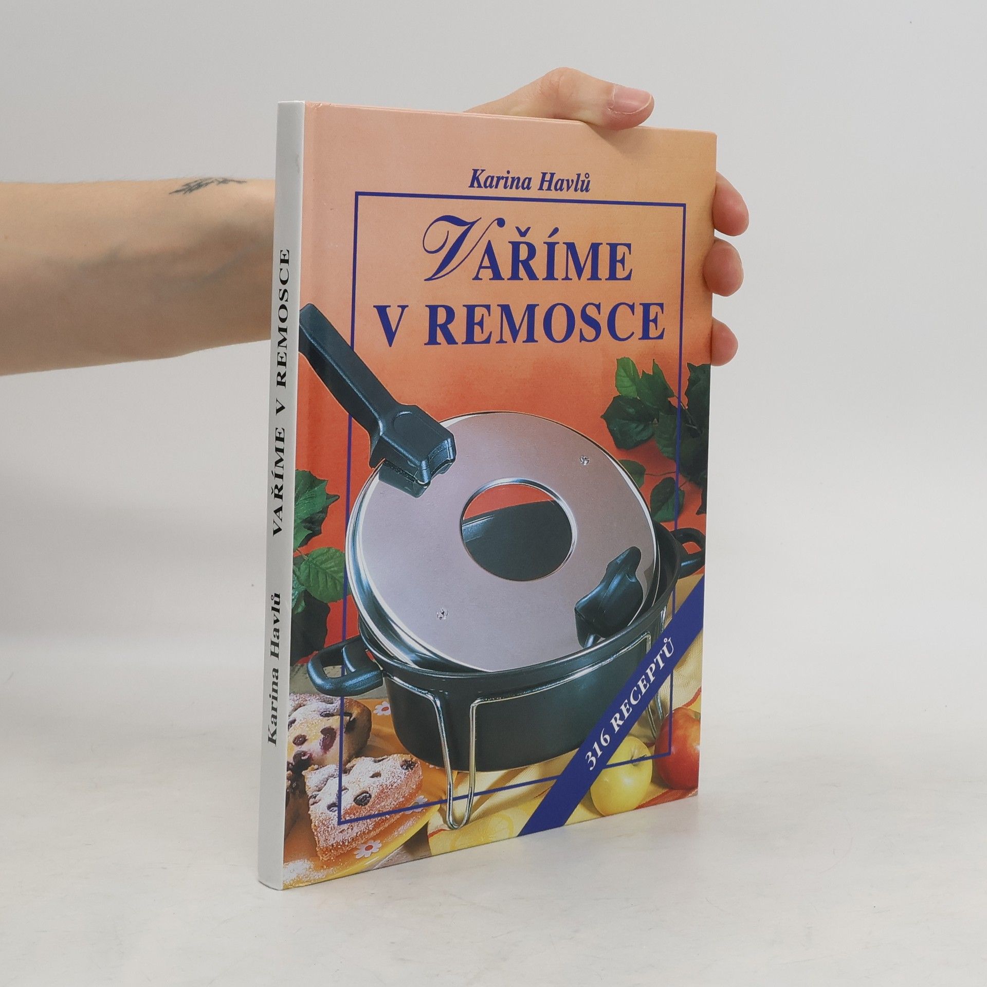 Karina Havlů Vaříme v remosce : 316 receptů